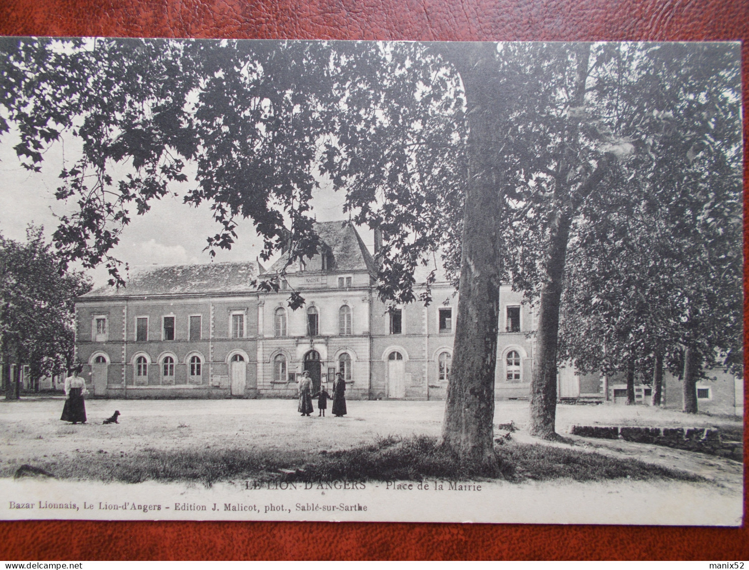 49 - LE LION D'ANGERS - Place De La Mairie. - Other & Unclassified