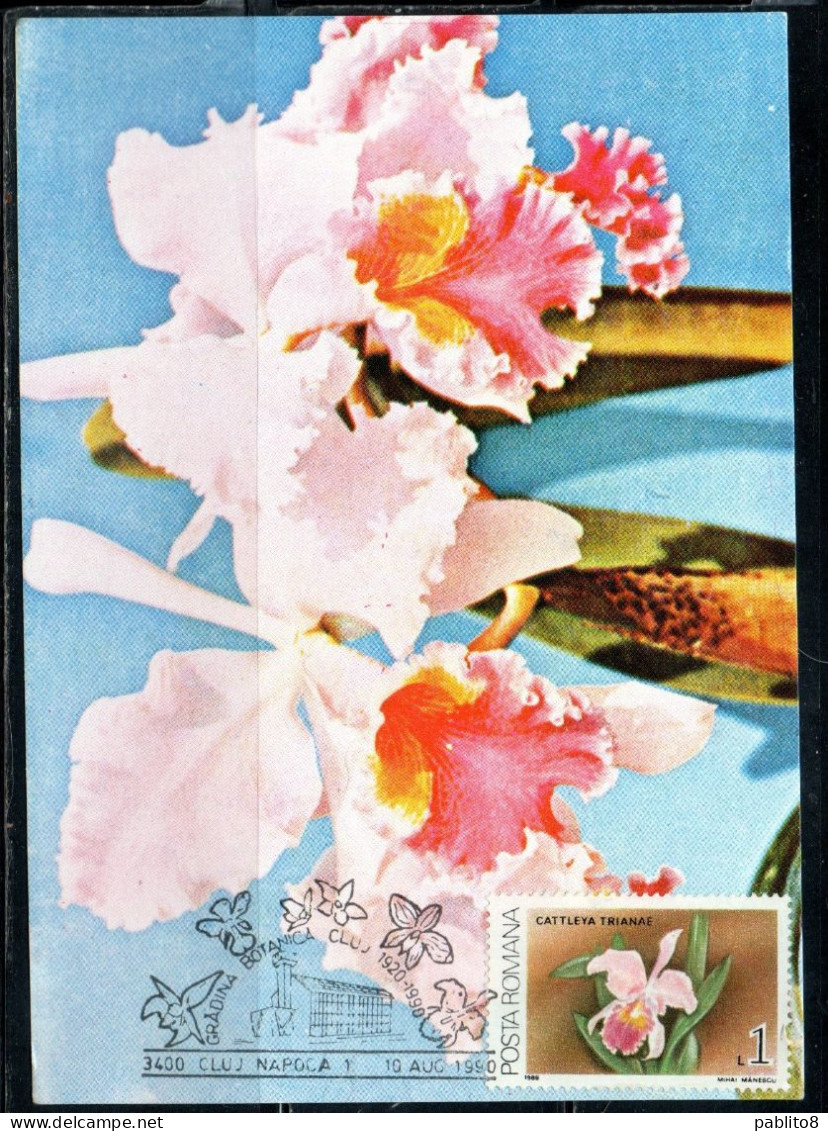 ROMANIA 1988 FLORA FLOWERS ORCHIDS CATTLEYA TRIANAE FLOWER ORCHID 1L MAXI MAXIMUM CARD - Tarjetas – Máximo