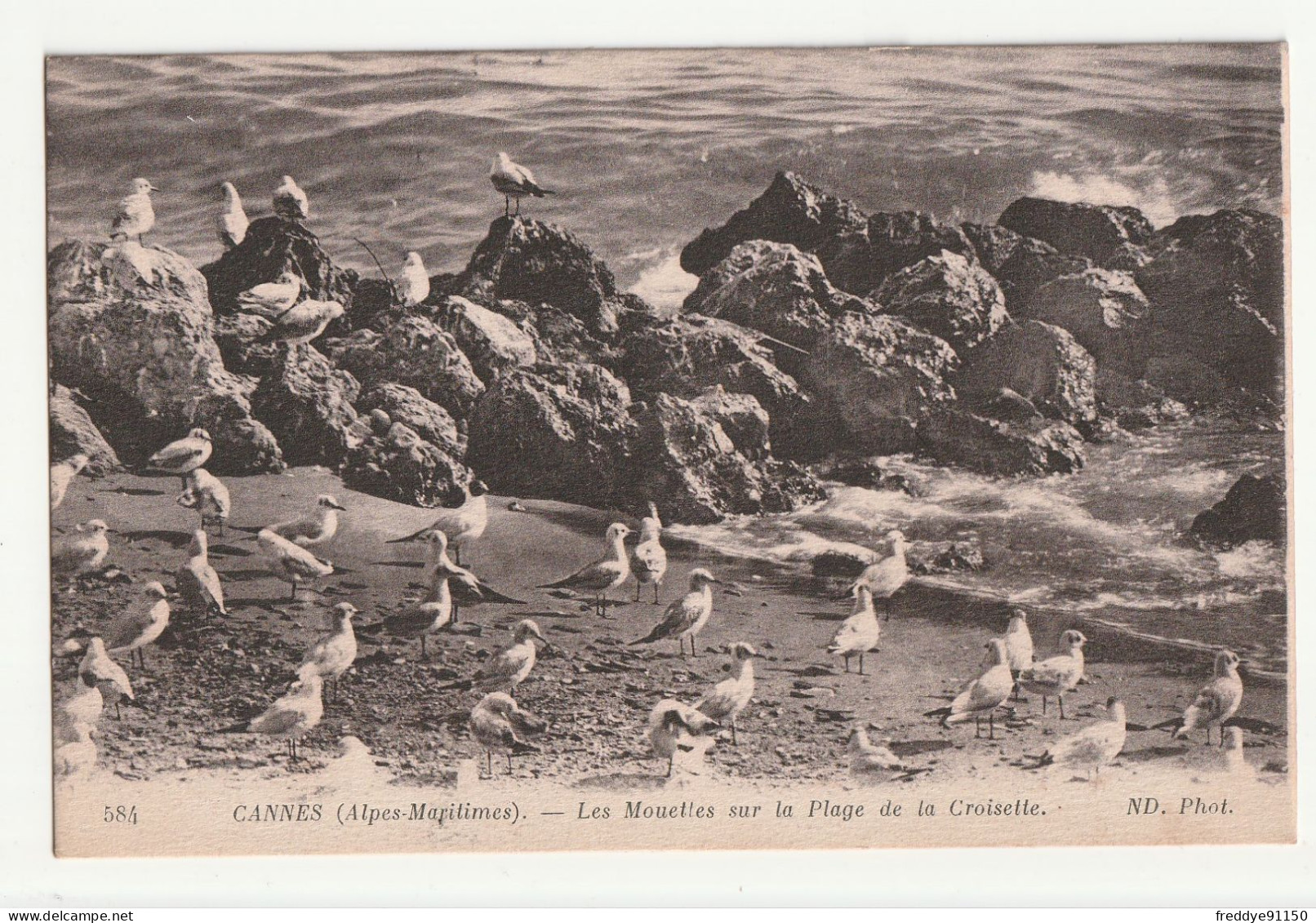 06 . Cannes . Les Mouettes Sur La Plage De La Croisette . 1916 - Cannes