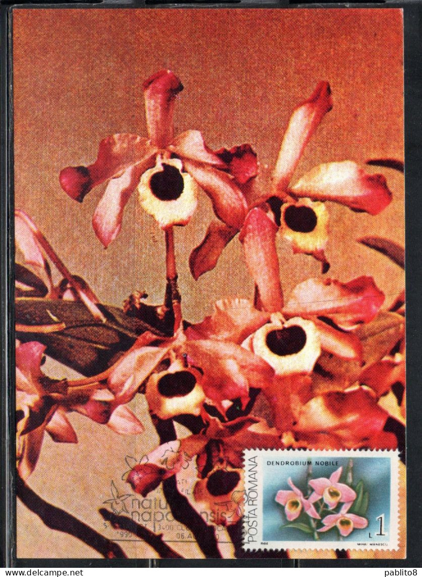 ROMANIA 1988 FLORA FLOWERS ORCHIDS DENDROBIUM NOBILE FLOWER ORCHID 1L MAXI MAXIMUM CARD - Cartes-maximum (CM)