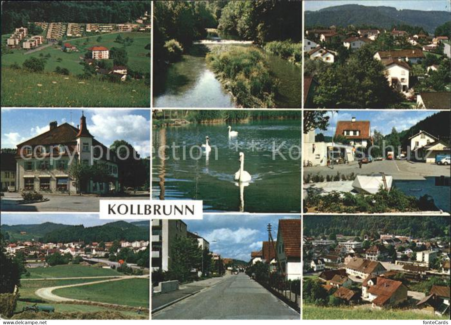 11888282 Kollbrunn  Kollbrunn - Autres & Non Classés