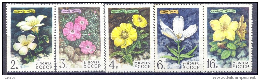 1977. USSR/Russia. Flowers, 5v, Mint/** - Unused Stamps