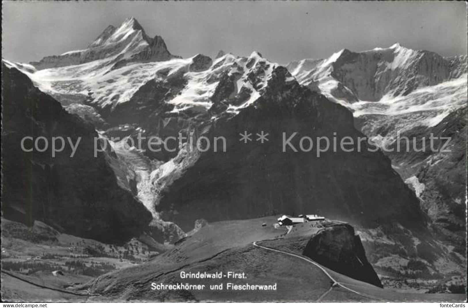 11887068 Grindelwald First Schreckhoerner Fiescherwand Grindelwald - Sonstige & Ohne Zuordnung