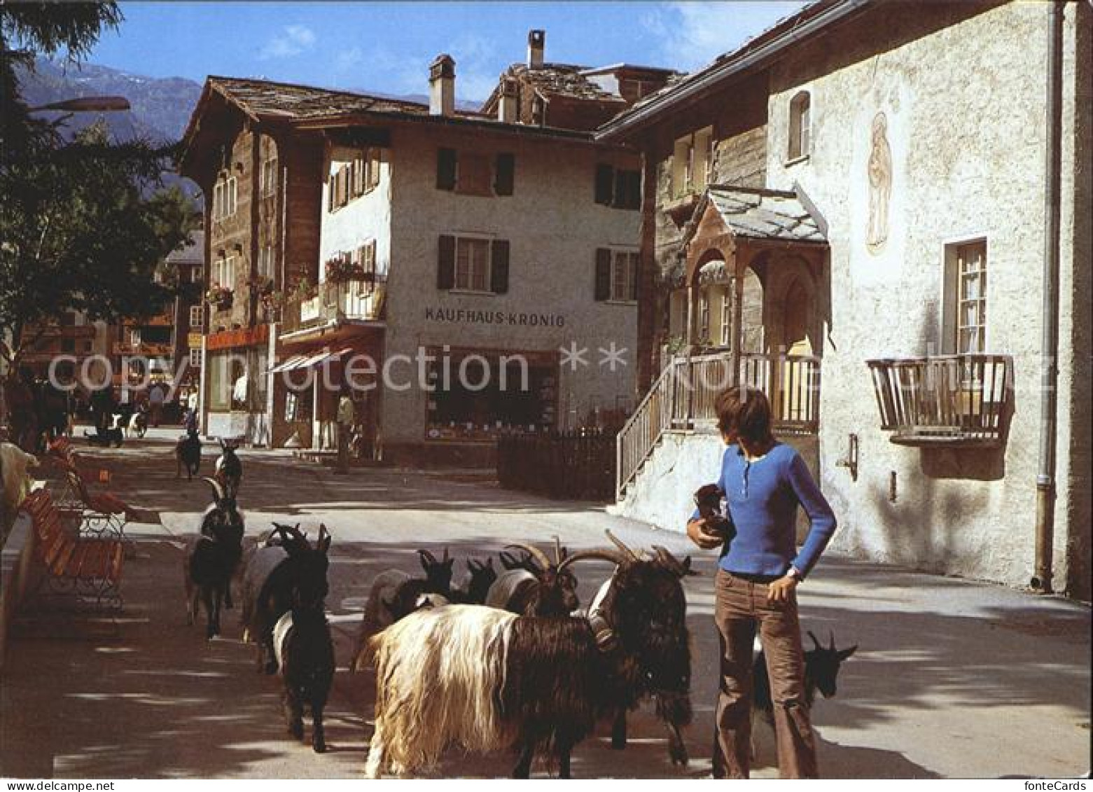 11887032 Zermatt VS Dorfstrasse Geissen  - Otros & Sin Clasificación