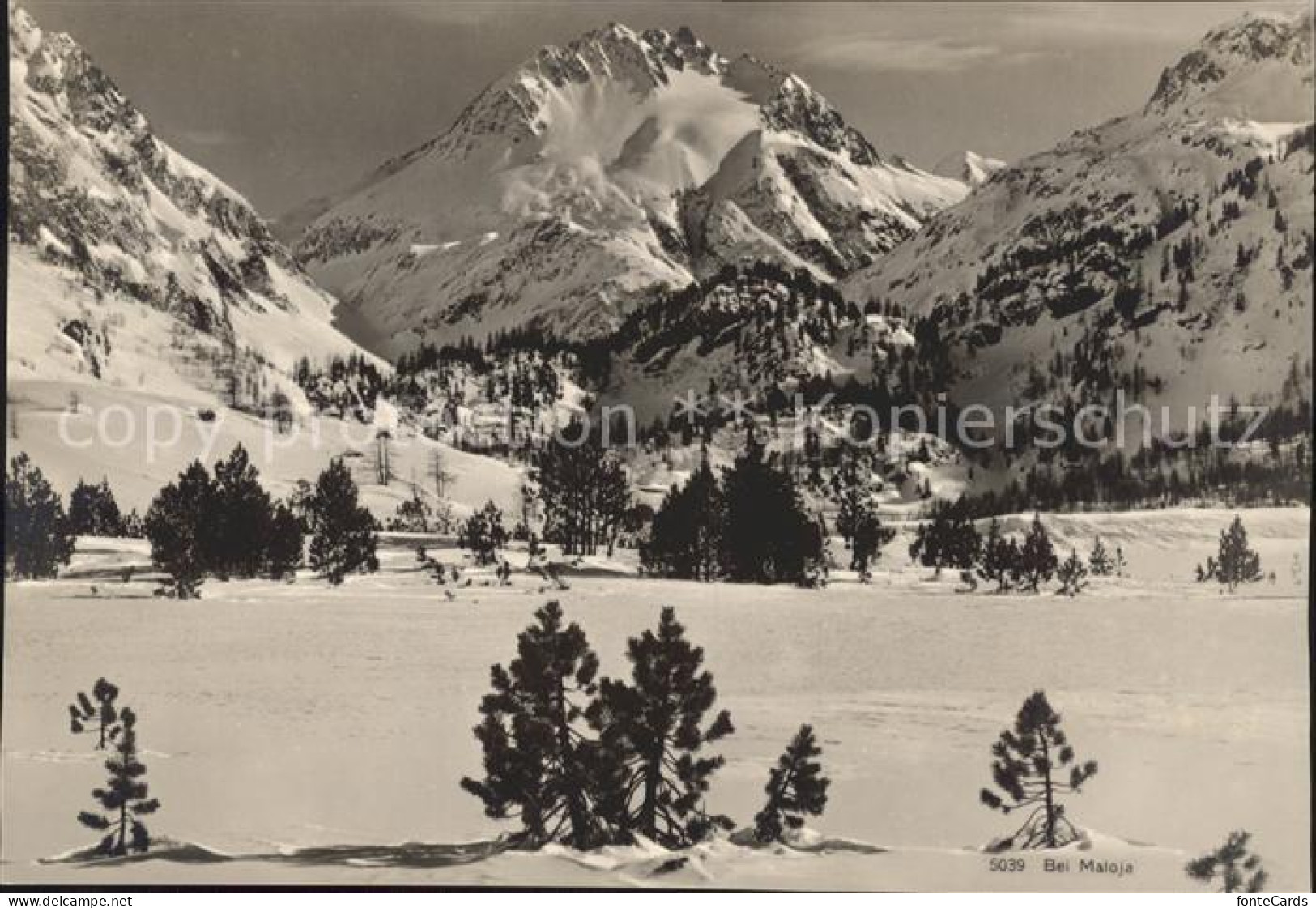 11886938 Maloja GR  Maloja Graubuenden - Andere & Zonder Classificatie