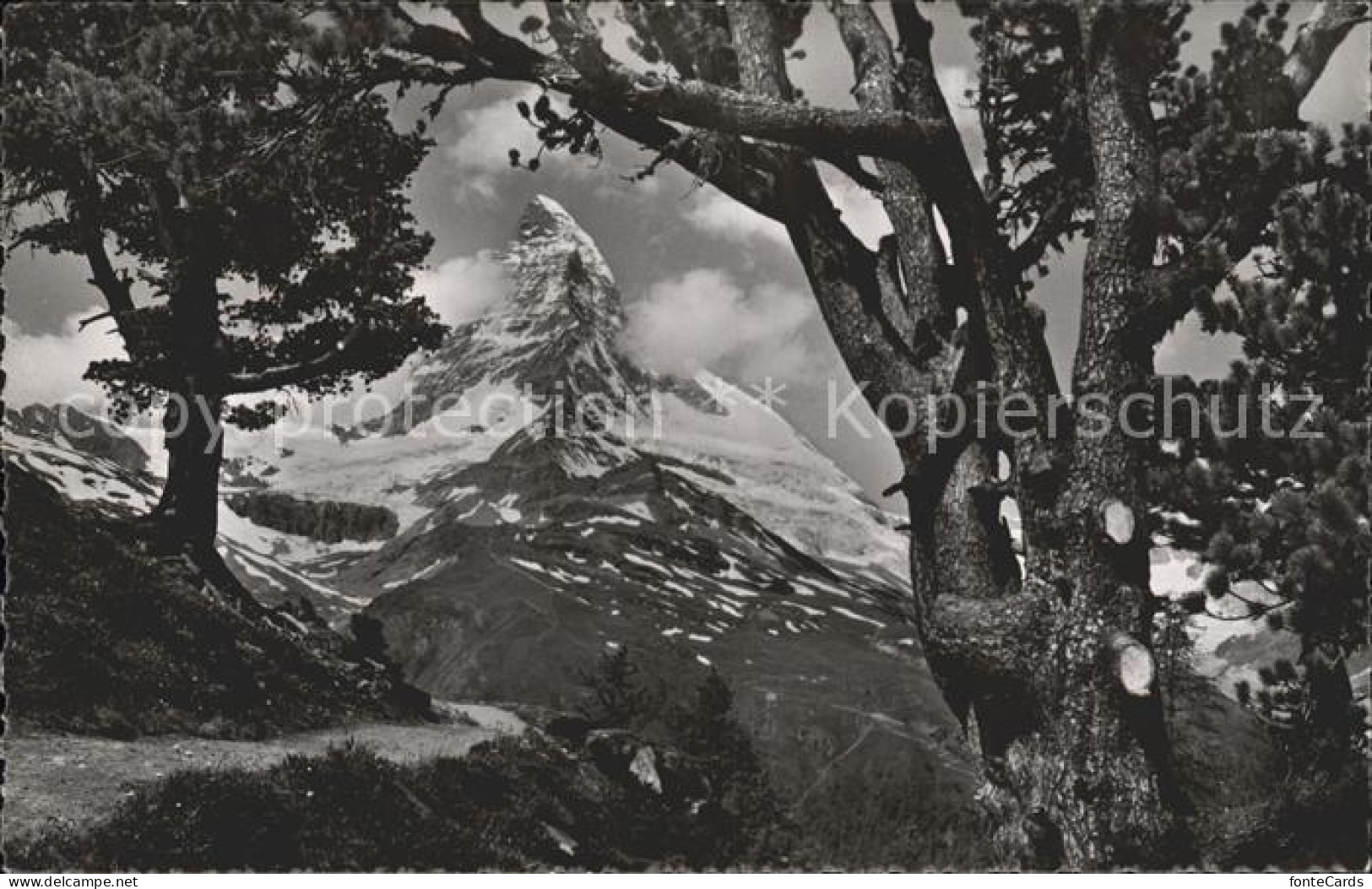 11886888 Zermatt VS Riffelalp Matterhorn  - Otros & Sin Clasificación