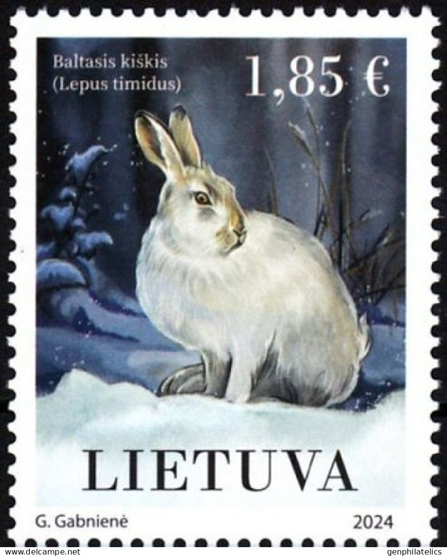 LITHUANIA 2024 FAUNA Animals RABBIT HARE - Fine Stamp MNH - Litouwen
