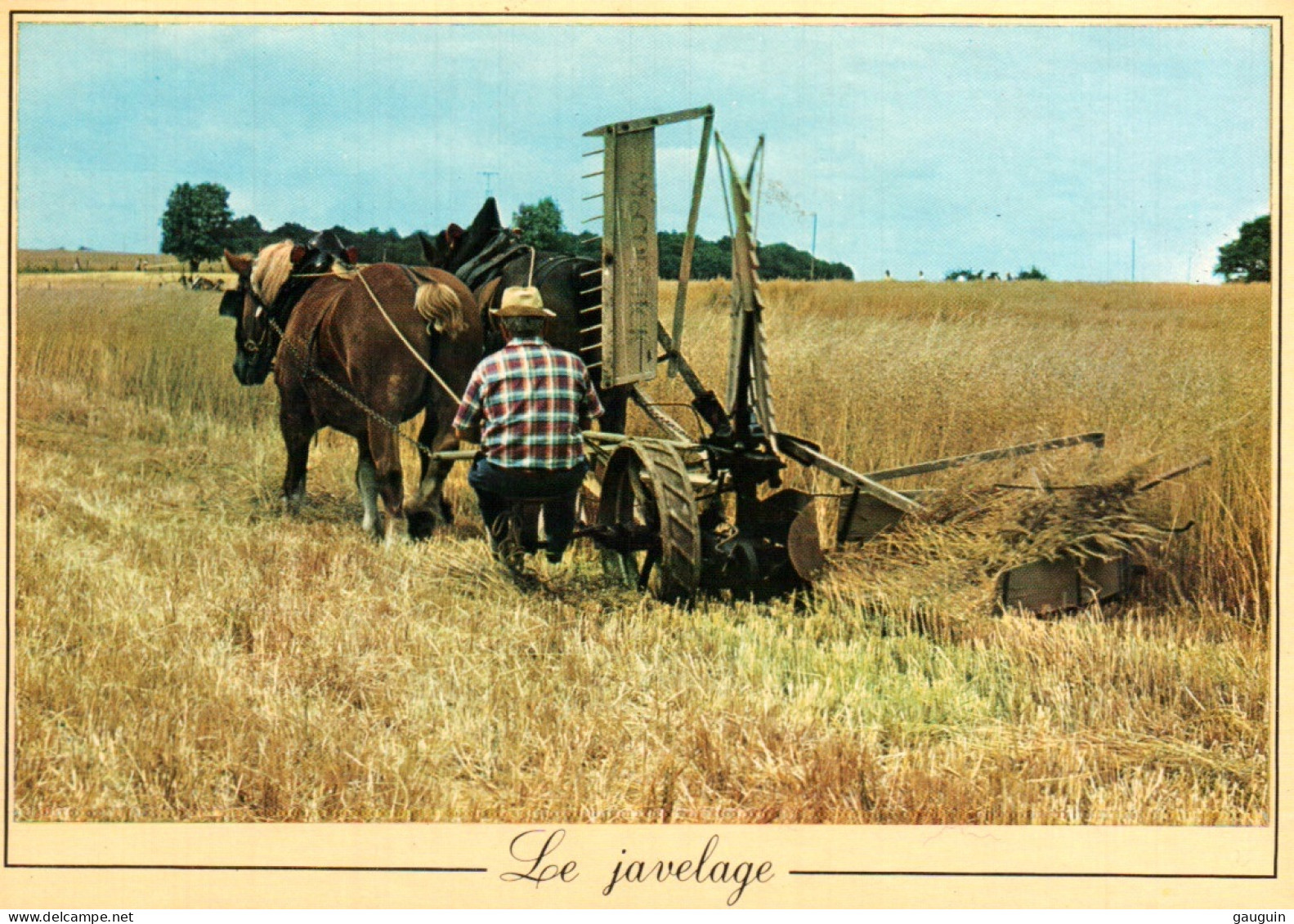 CPM - Métiers D'Antan - Le Javelage (Photo Prise à Marchais-Béton (Yonne) - Editions Nivernaises - Cultures