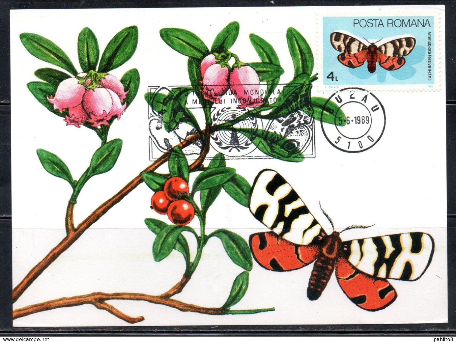 ROMANIA 1985 BUTTERFLIES AMMOBIOTA FESTIVA BUTTERFLY 4L MAXI MAXIMUM CARD - Maximum Cards & Covers