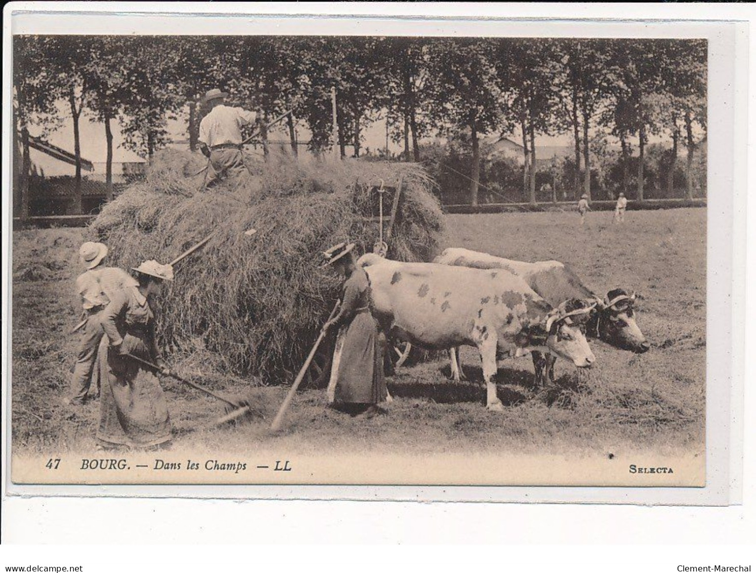 BOURG : Dans Les Champs - Très Bon état - Sonstige & Ohne Zuordnung