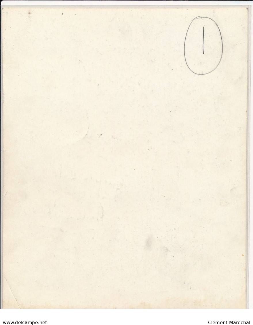 Autographe (19,5x25cm) De Anna Neagle, Actrice - Très Bon état - Other & Unclassified