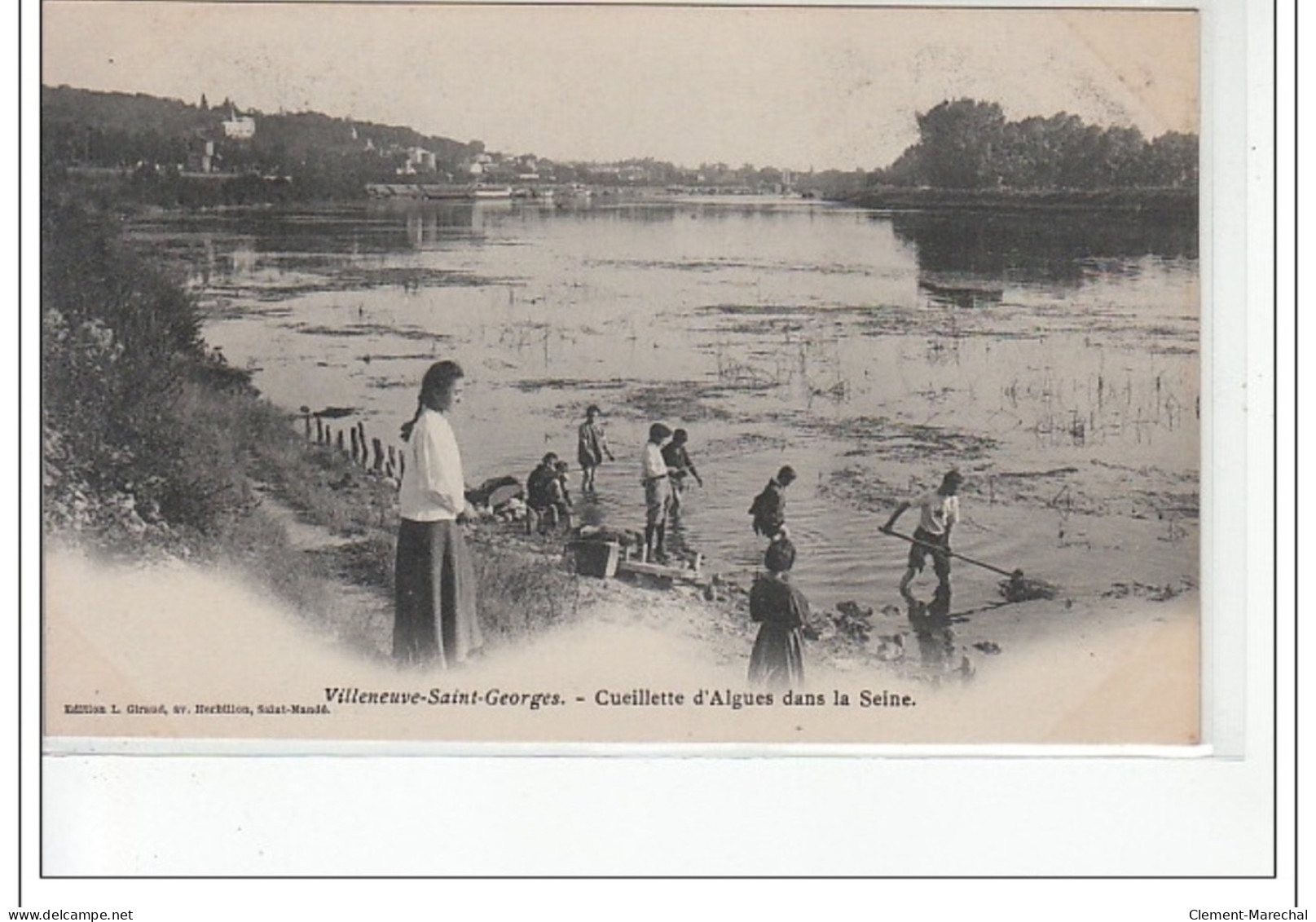 VILLENEUVE SAINT GEORGES - Cueillette D'algues Dans La Seine -  Très Bon état - Villeneuve Saint Georges