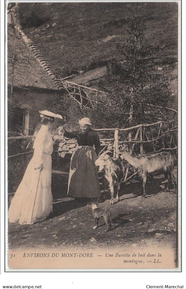 Environs Du Mont DORE : Une Buvette De Lait Dans La Montagne - Très Bon état - Autres & Non Classés