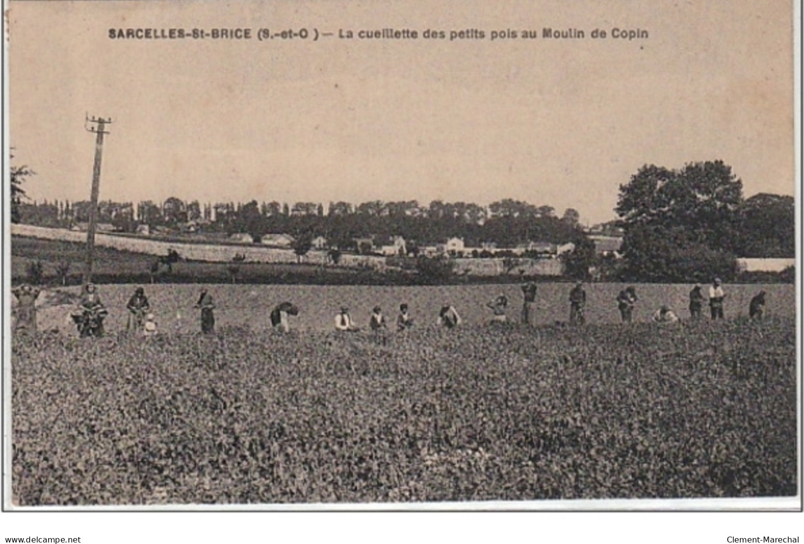 SARCELLES SAINT BRICE : La Cueillette Des Petits-pois Au Moulin De Copin - Très Bon état (timbre Abîmé Au Verso) - Sarcelles