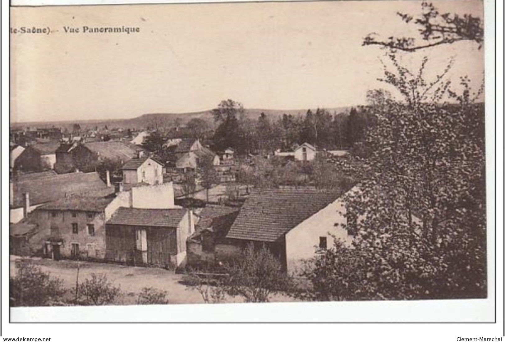 SAINT LOUP SUR SEMOUSE : Vue Panoramique - CARTE PANORAMIQUE - Très Bon état - Otros & Sin Clasificación