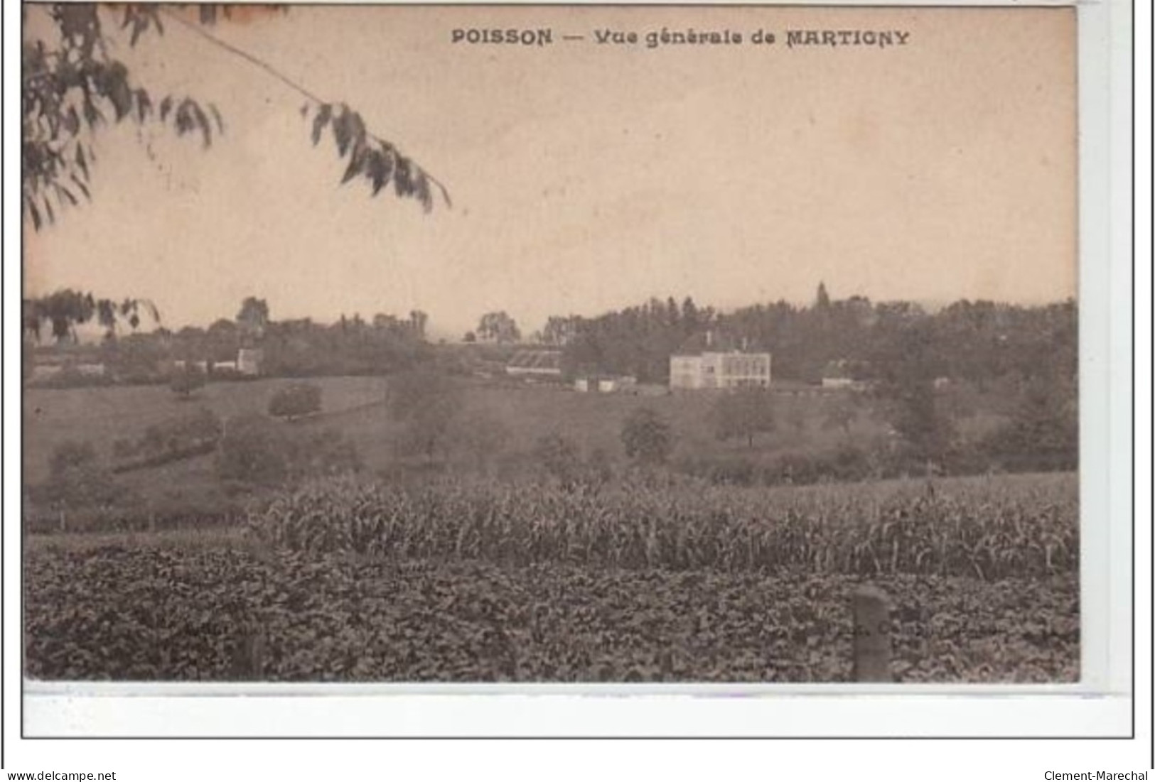 POISSONS - Vue Générale De Martigny  - Très Bon état - Poissons