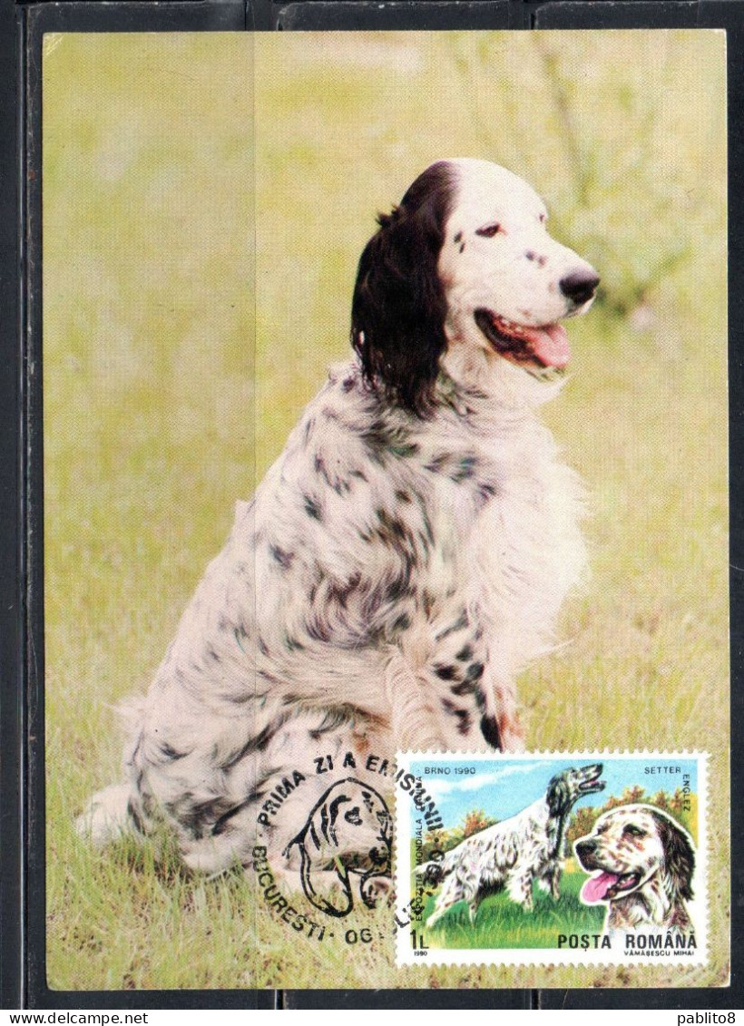 ROMANIA 1990 INTERNATIONAL DOG SHOW BRNO ENGLISH SETTER 1L MAXI MAXIMUM CARD - Maximumkaarten