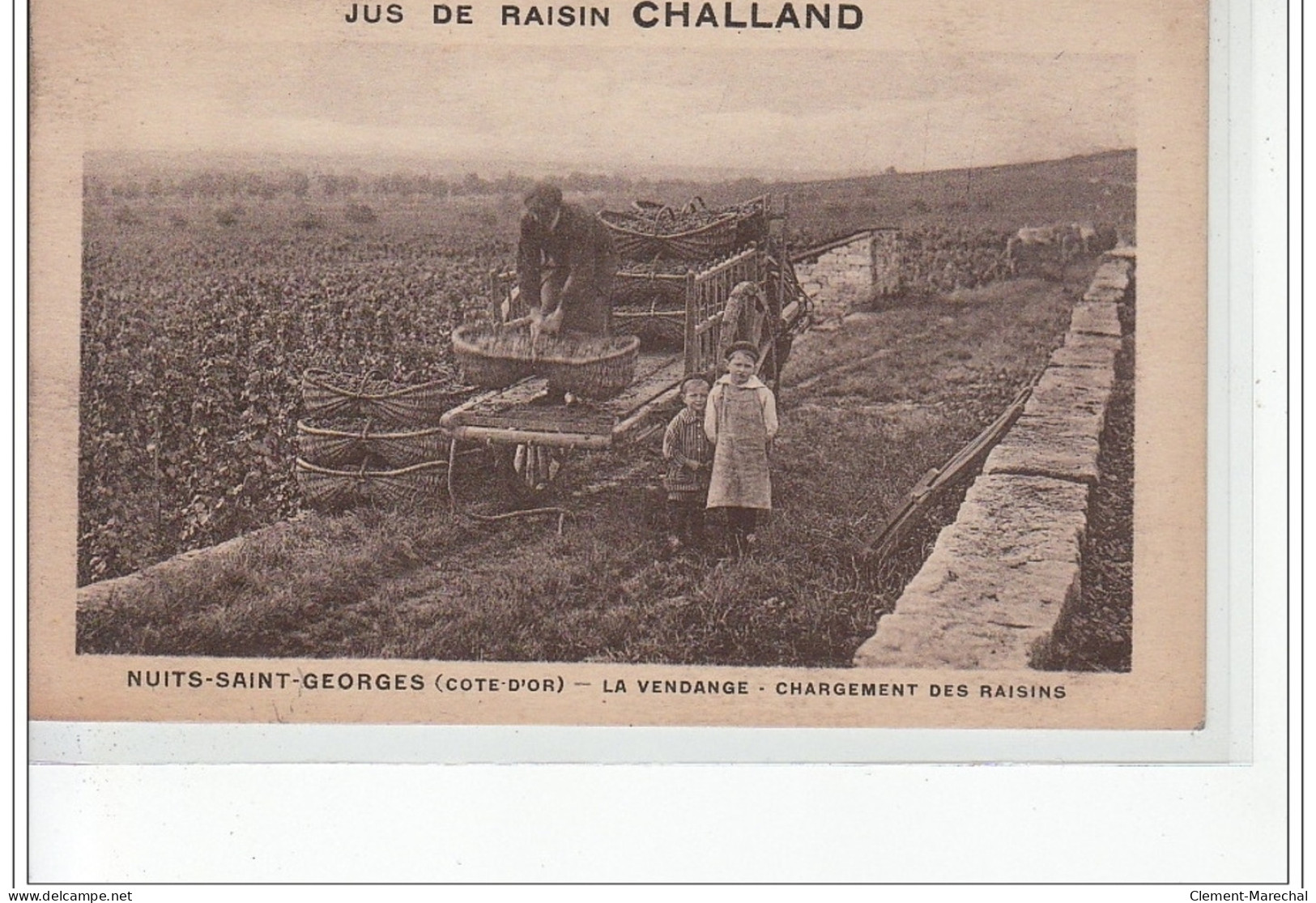NUITS SAINT GEORGES - La Vendange - Chargement Des Raisins - Jus De Raisin Challand - Très Bon état - Nuits Saint Georges
