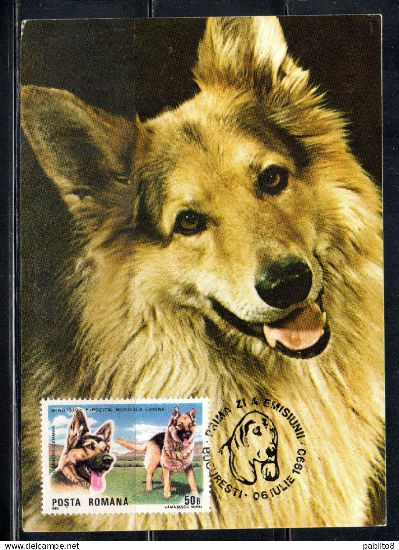 ROMANIA 1990 INTERNATIONAL DOG SHOW BRNO GERMAN SHEPHERD 50g MAXI MAXIMUM CARD - Maximumkaarten