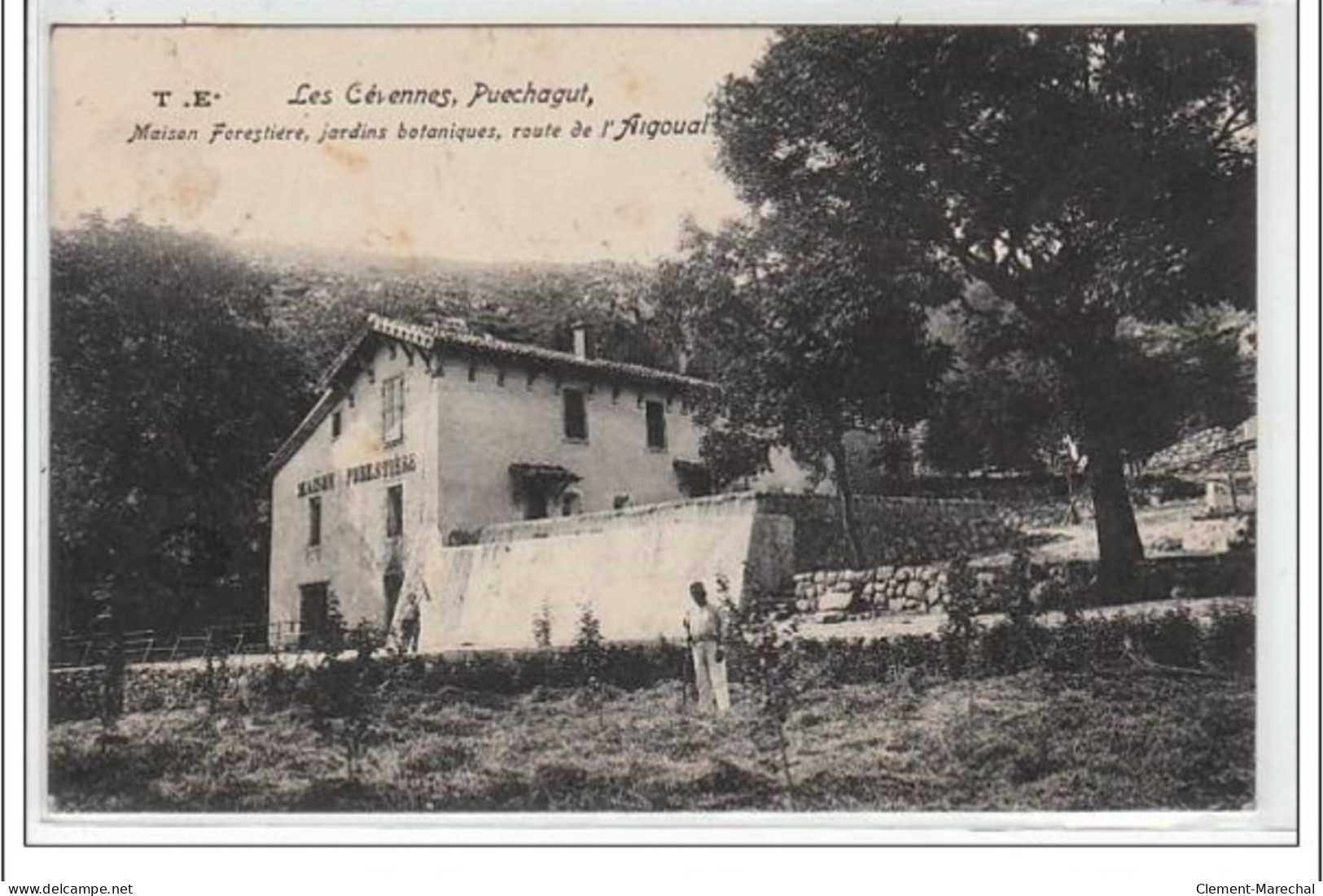 LES CEVENNES : PUECHAGUT : Maison Forestière, Jardins Botaniques, Route De L'Argoual - Très Bon état - Autres & Non Classés