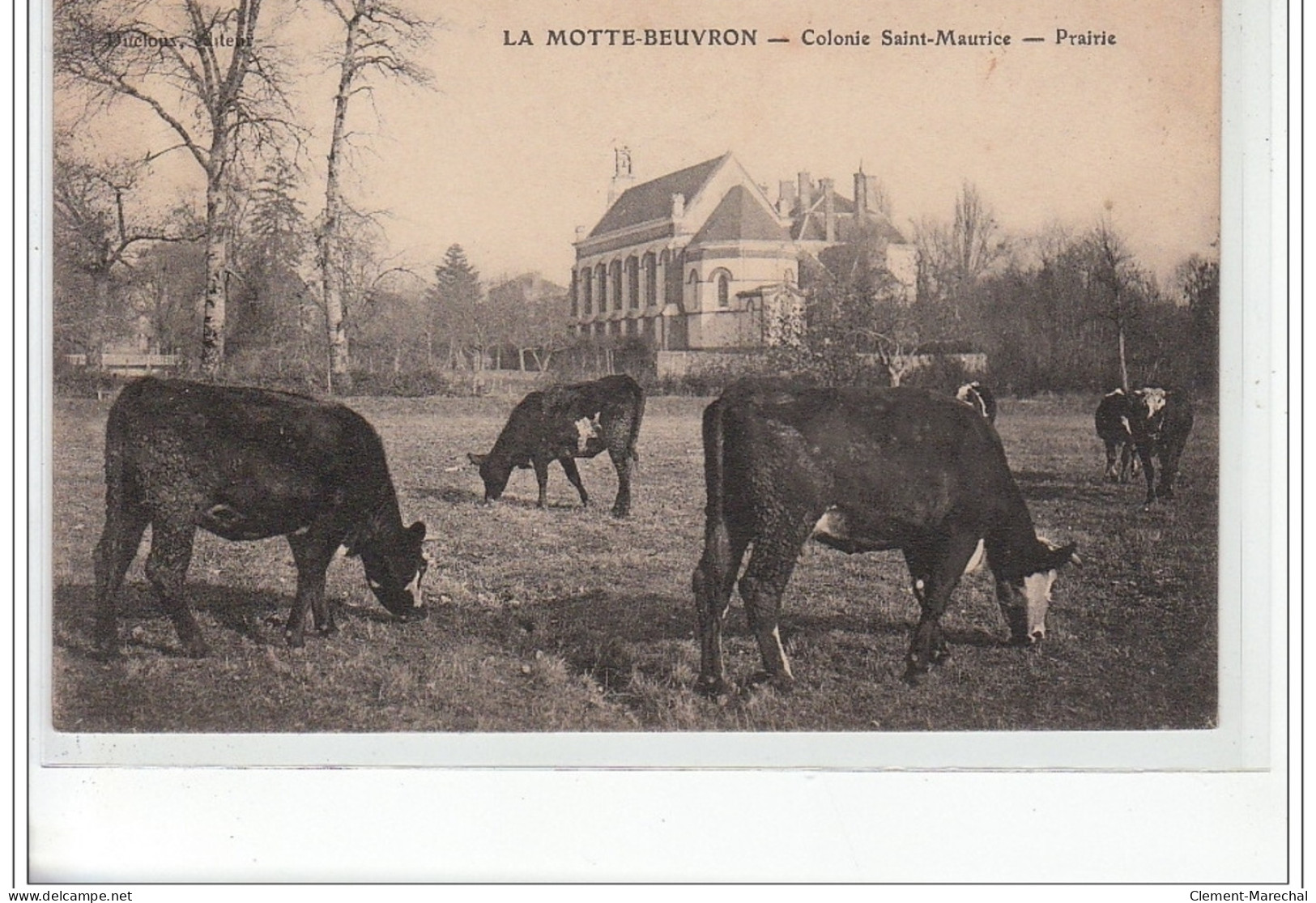 LA MOTTE BEUVRON - Colonie Saint Maurice - Prairie - Très Bon état - Lamotte Beuvron