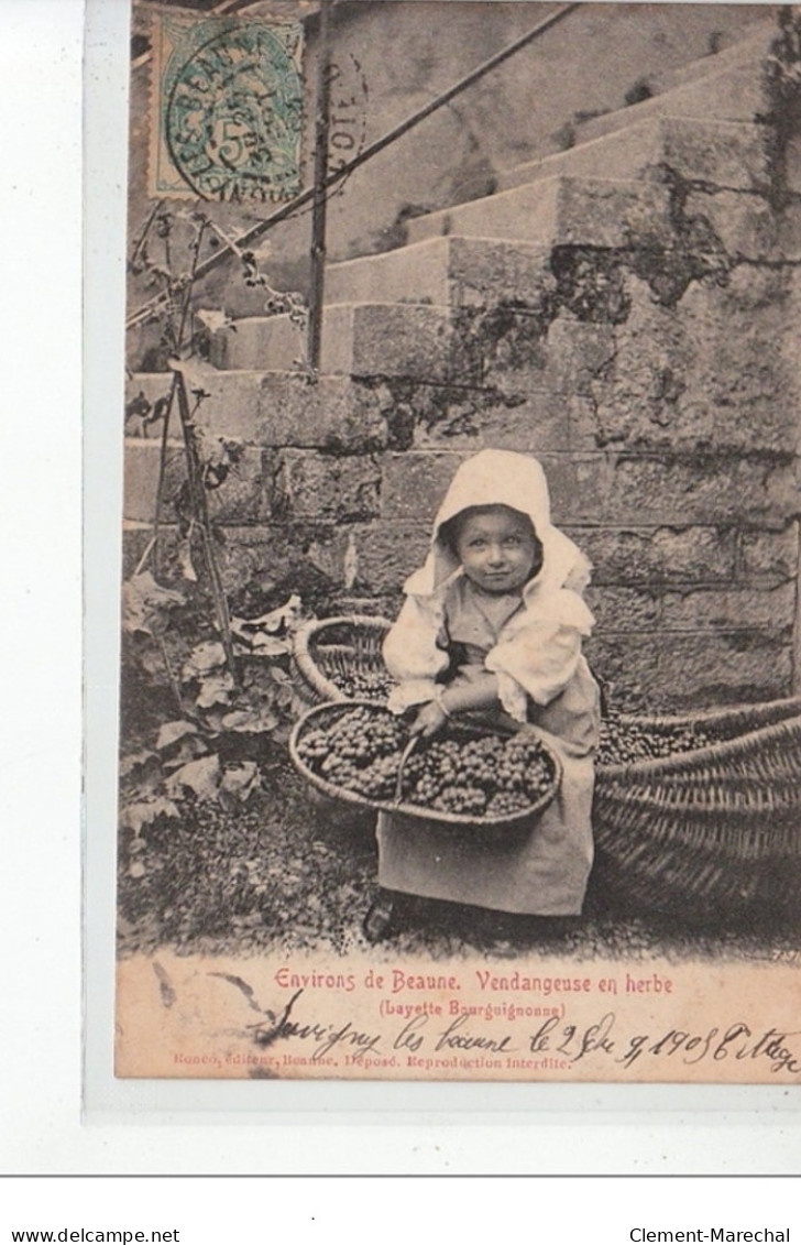 Environs De BEAUNE - Vendangeuses En Herbe (layette Bourguignonne) - Très Bon état - Otros & Sin Clasificación