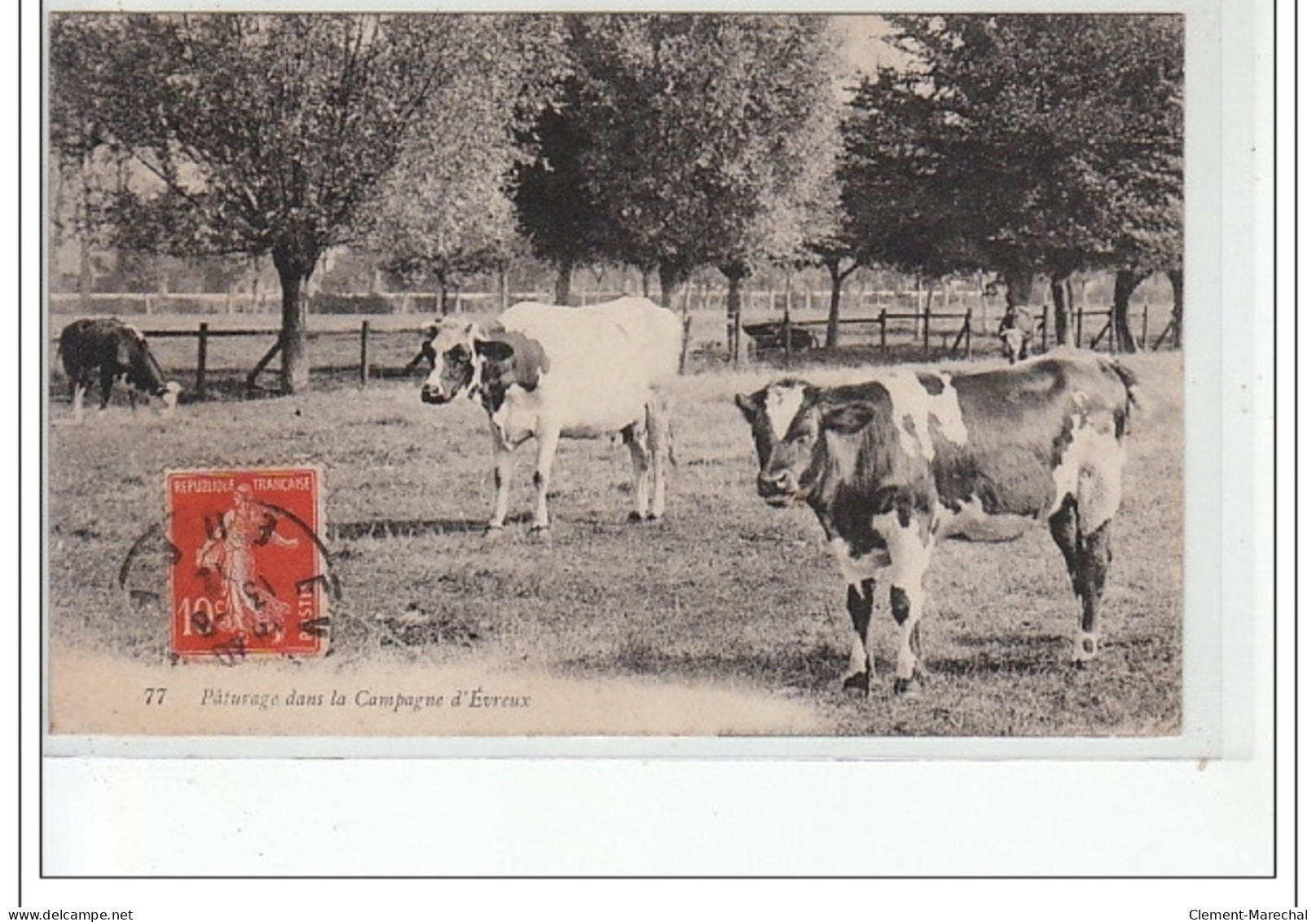 Environs D'EVREUX - Pâturages Dans La Campagne D'EVREUX - Très Bon état - Otros & Sin Clasificación