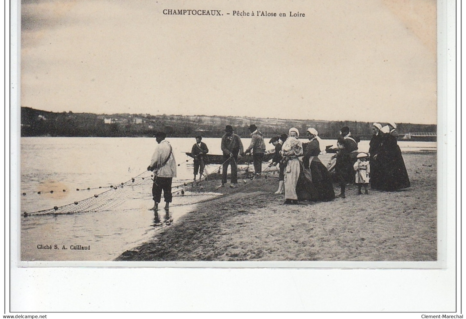CHAMPTOCEAUX - Pêche à L'Alose En Loire - Très Bon état - Champtoceaux