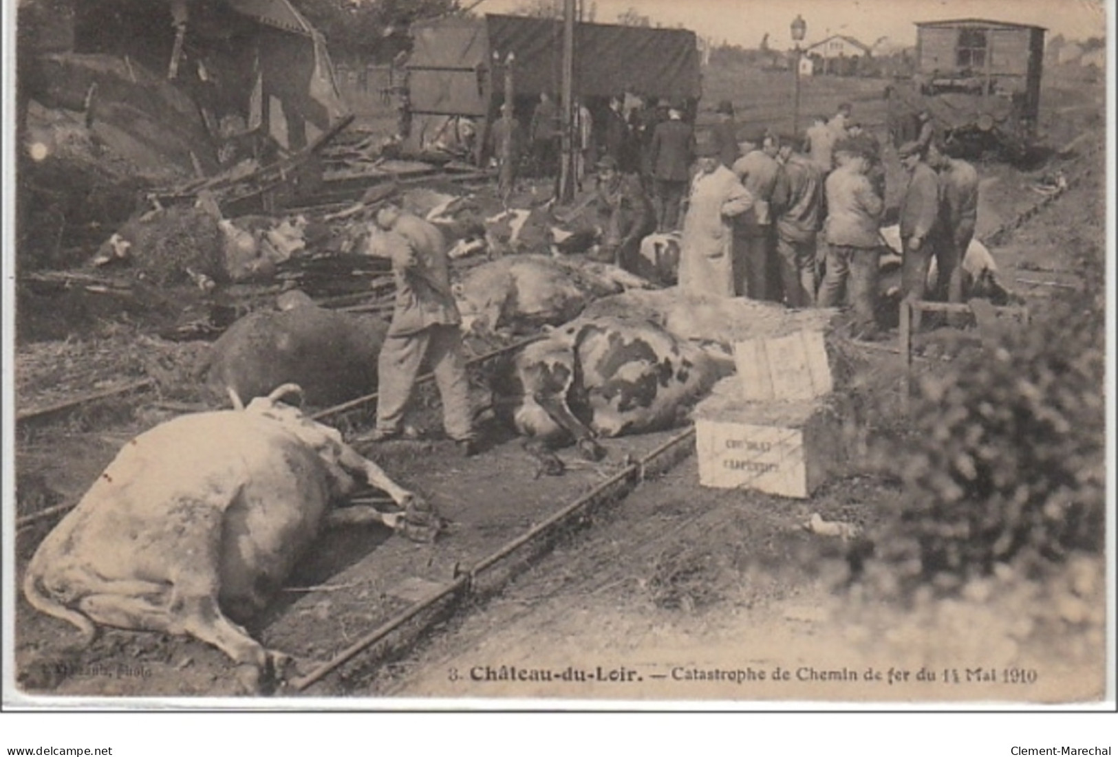 CHATEAU DU LOIR : Catastrophe De Chemin De Fer Du 14 Mai 1910 - Bon état (coins Légèrement Arrondis) - Autres & Non Classés