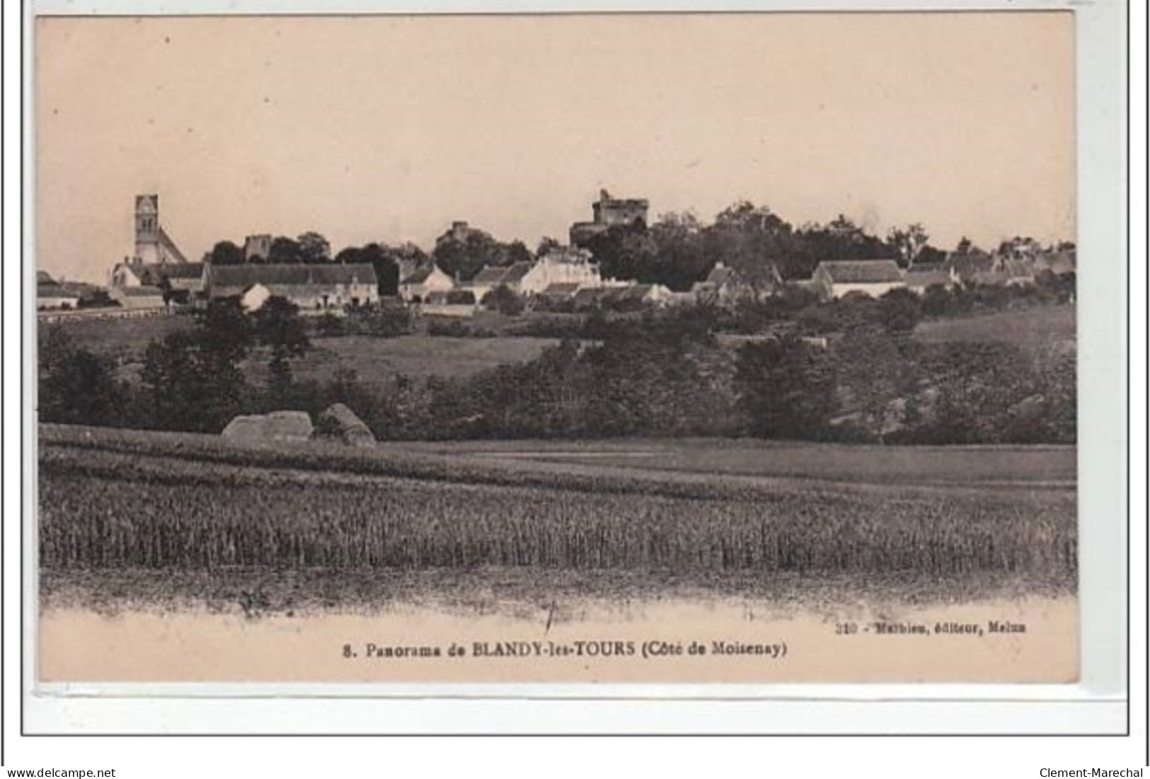 BLANDY LES TOURS : Panorama - Côté De Moisenay - Très Bon état - Autres & Non Classés