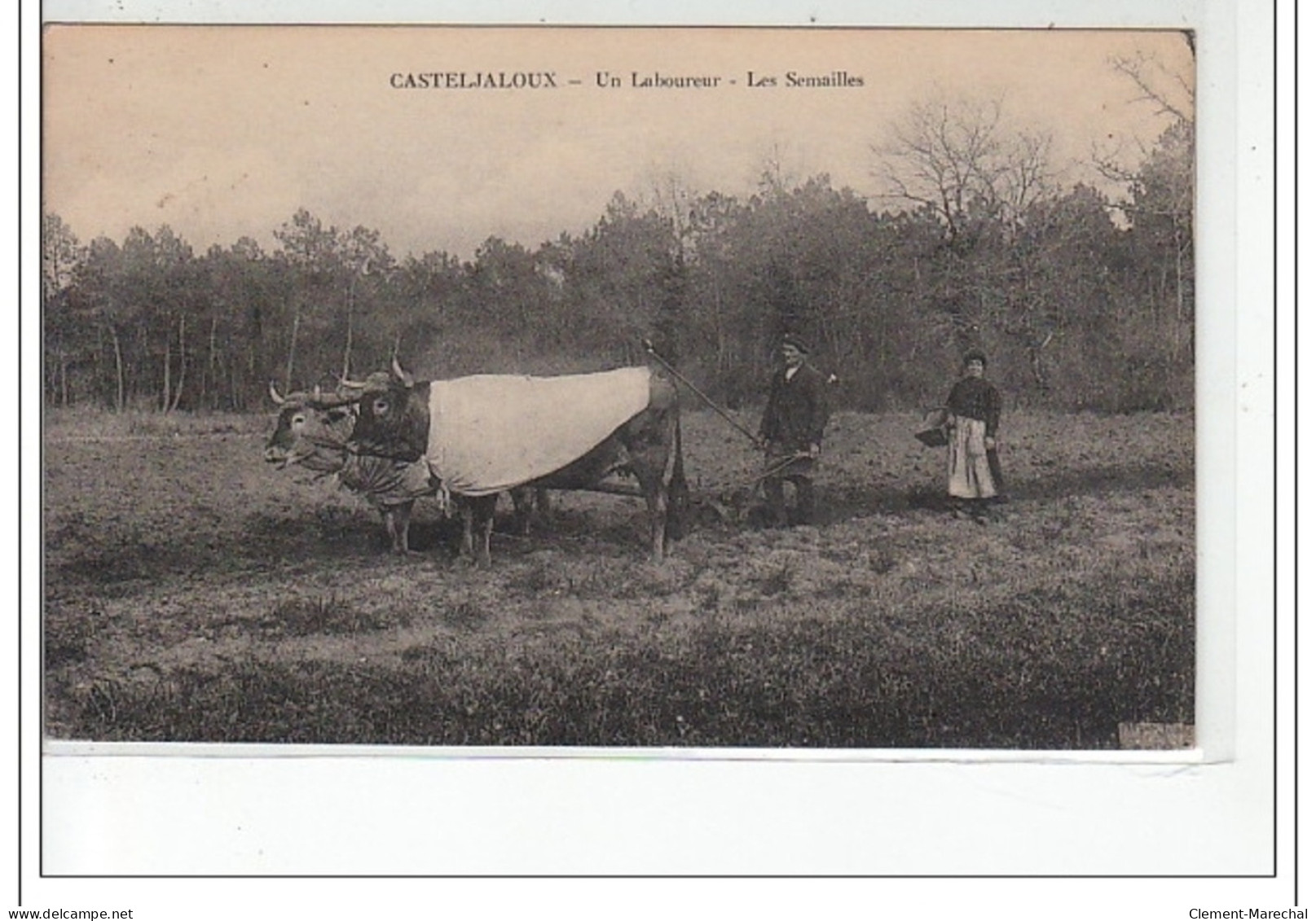 CASTELJALOUX - Un Laboureur - Les Semailles - Très Bon état - Casteljaloux