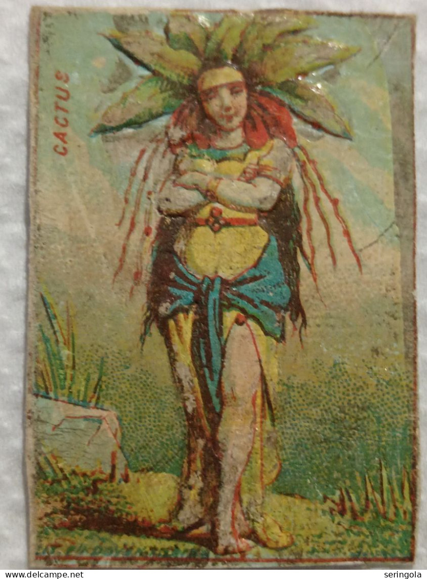 Lit. Nicolo Armanino. Génova. Italy 1845-66 - Matchbox Labels