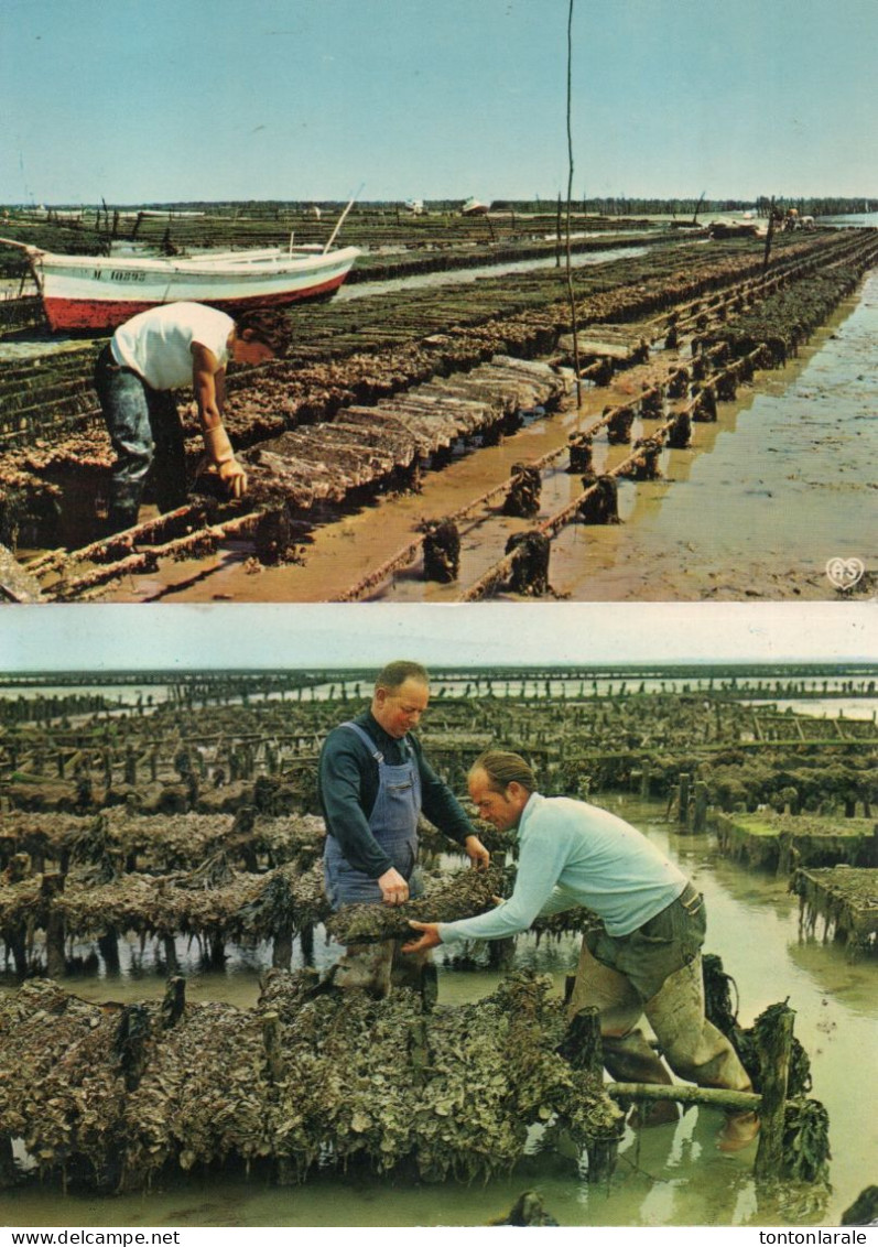 Deux Cartes  De Parc A Huitres - Fishing