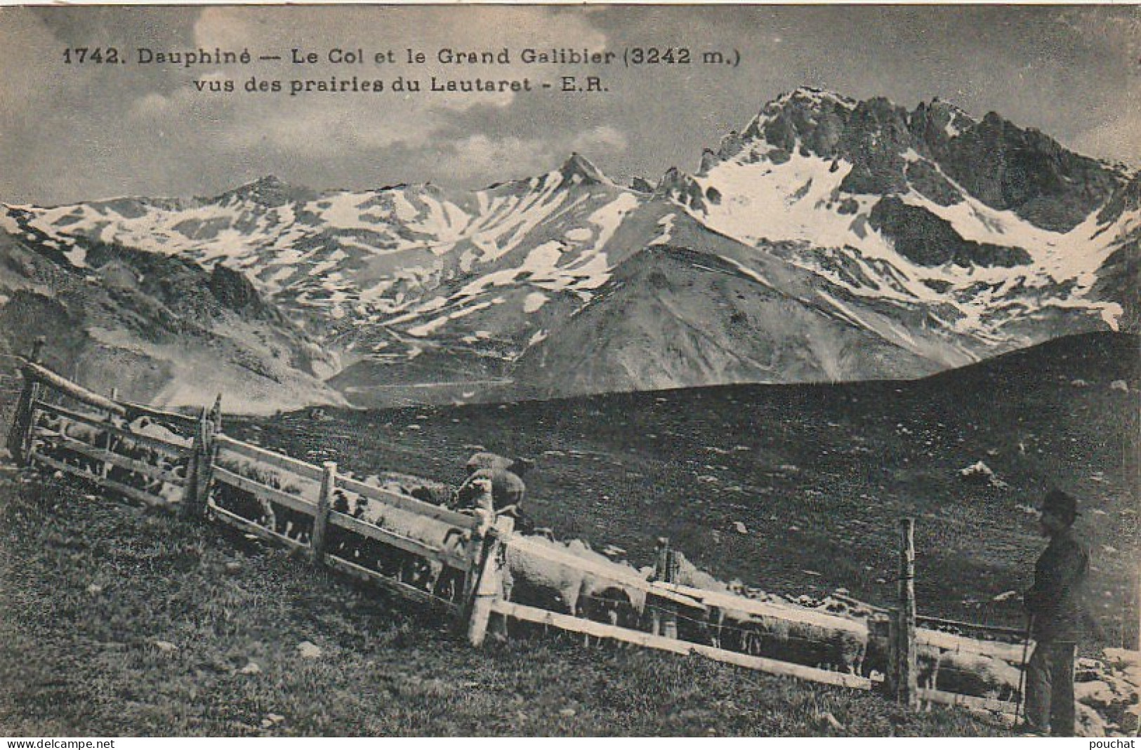 AA+ -(05) LE COL ET LE GRAND GALIBIER VUS DES PRAIRIES DU LAUTARET - BERGER ET MOUTONS AUX PATURAGES - Autres & Non Classés