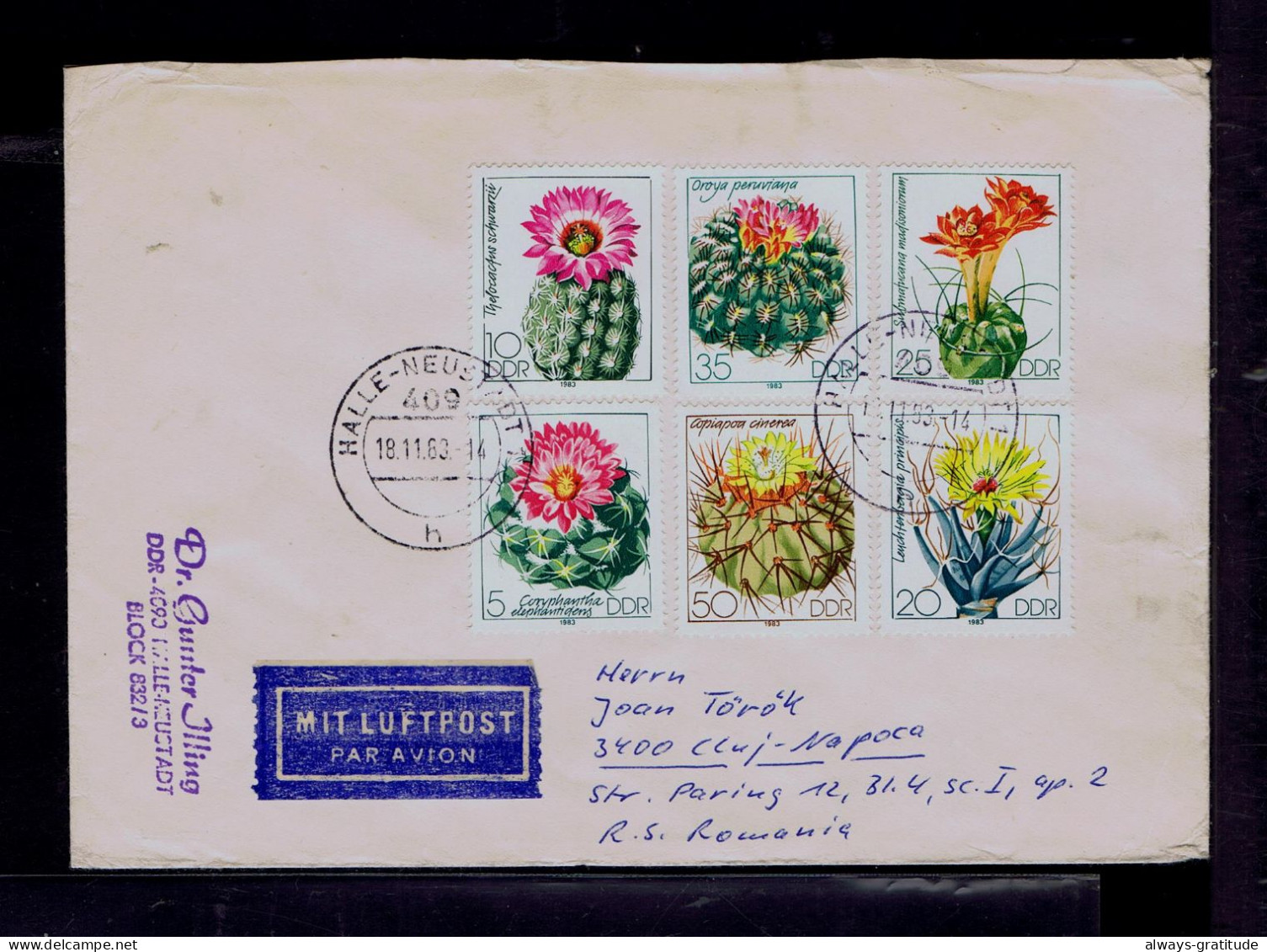 Sp10532 DDR Cactus 6x Plants Fleurs Mailed 1963 Romania - Cactus