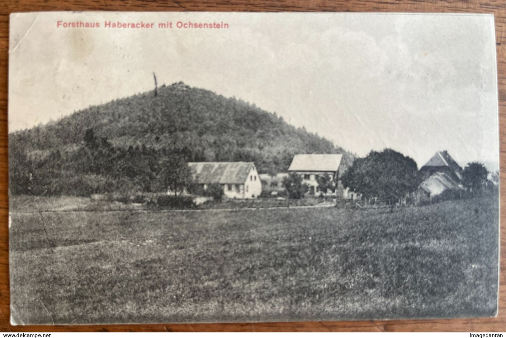 Forsthaus Haberacker Mit Ochsenstein - Verlag Hch. Ambos, Zabern - Environs De Saverne - Otros & Sin Clasificación