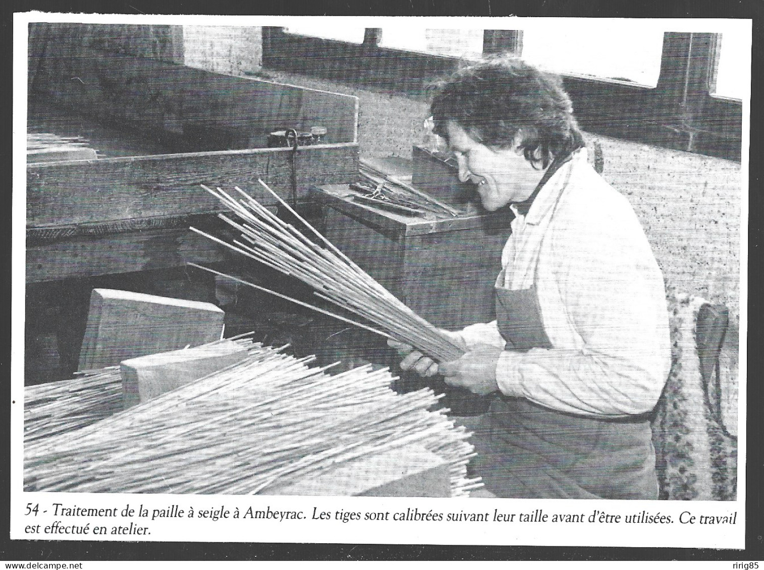 1987  --  TRAITEMENT DE LA PAILLE A SEIGLE A AMBEYRAC . 4B042 - Ohne Zuordnung