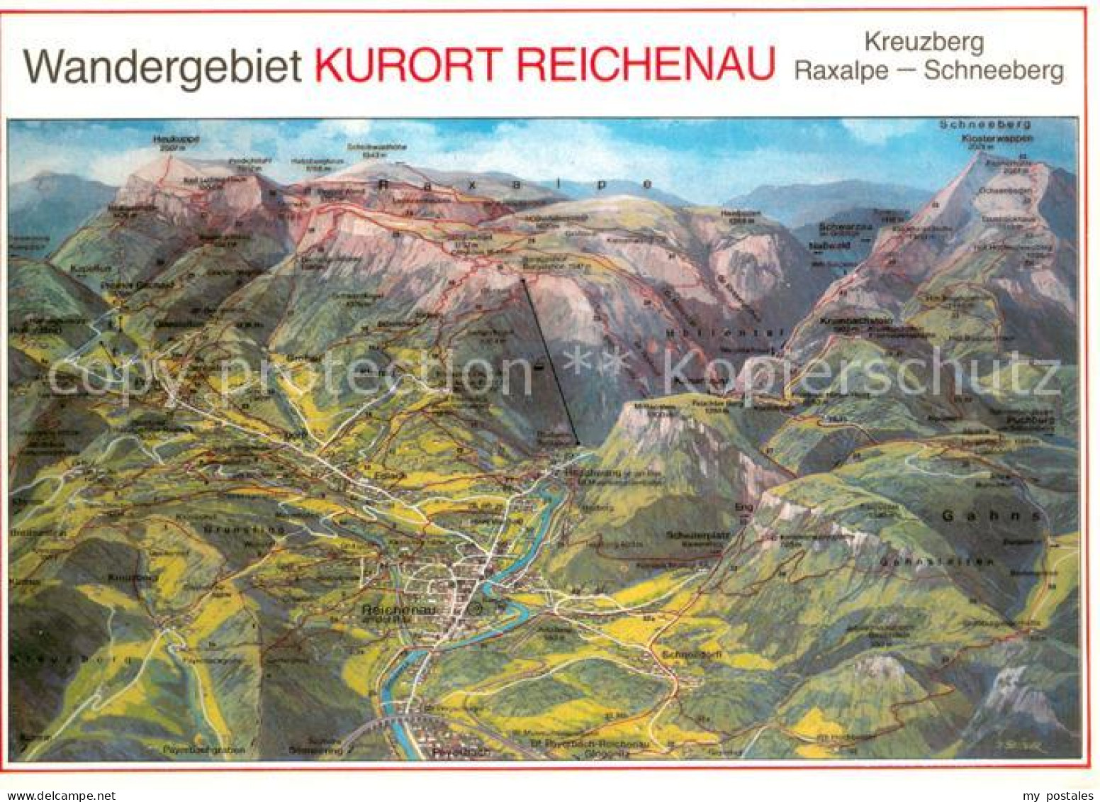 73650305 Reichenau Rax Panoramakarte Mit Kreuzberg Raxalpe Und Schneeberg Reiche - Otros & Sin Clasificación