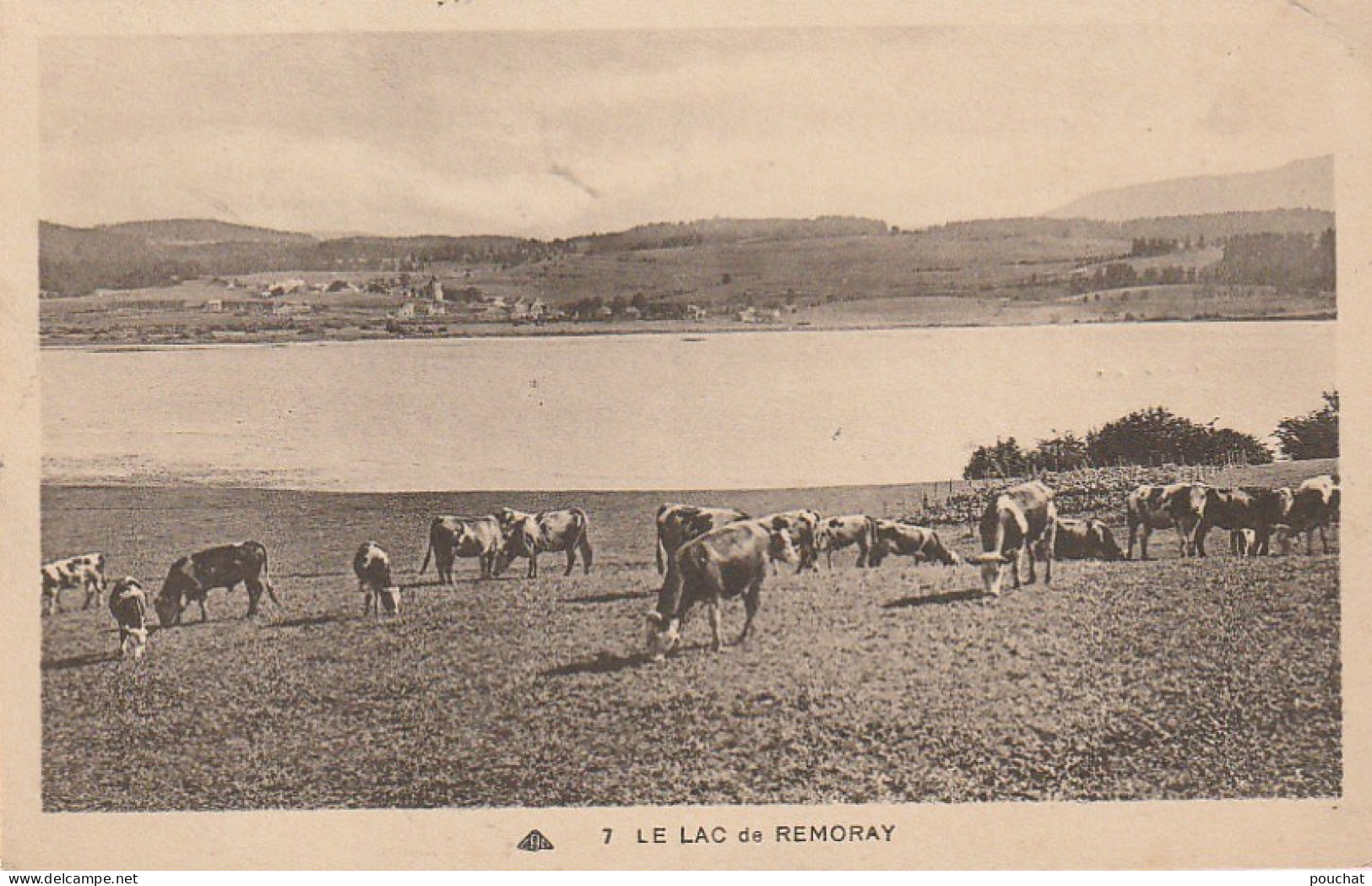 AA+ 31-(25) LE LAC DE REMORAY - TROUPEAU DE VACHES AUX PATURAGES - Sonstige & Ohne Zuordnung