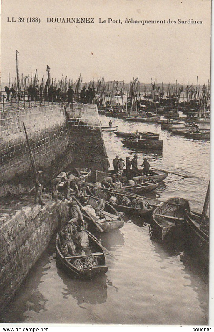 AA+ 38-(29) DOUARNENEZ - LE PORT - DEBARQUEMENT DES SARDINES - Douarnenez