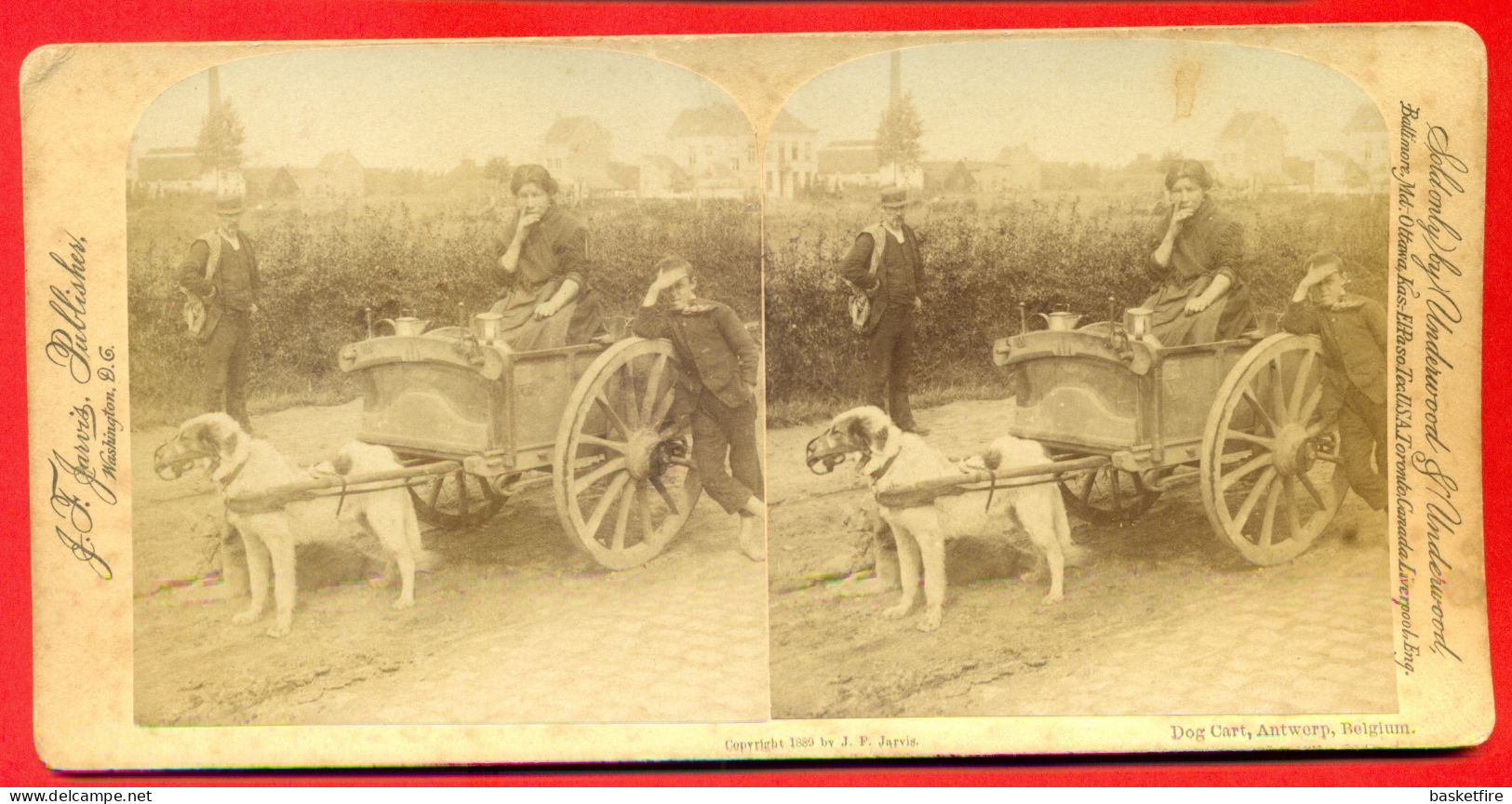 Antwerpen: Stereokaart (hard Karton): Dog Cart - Hondenkar - Laitiere Flamand (stereoscoop)(Jarvis 1889) - Photos Stéréoscopiques