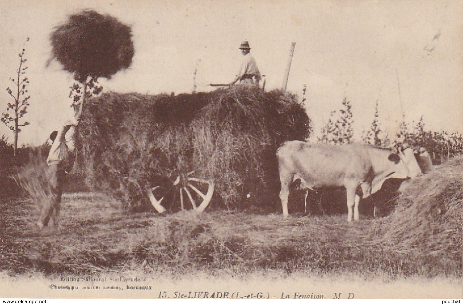 AA+ 44-(47)  STE LIVRADE  - LA FENAISON - ATTELAGE AVEC PAYSANS ET RECOLTE DES FOINS - Cultivation