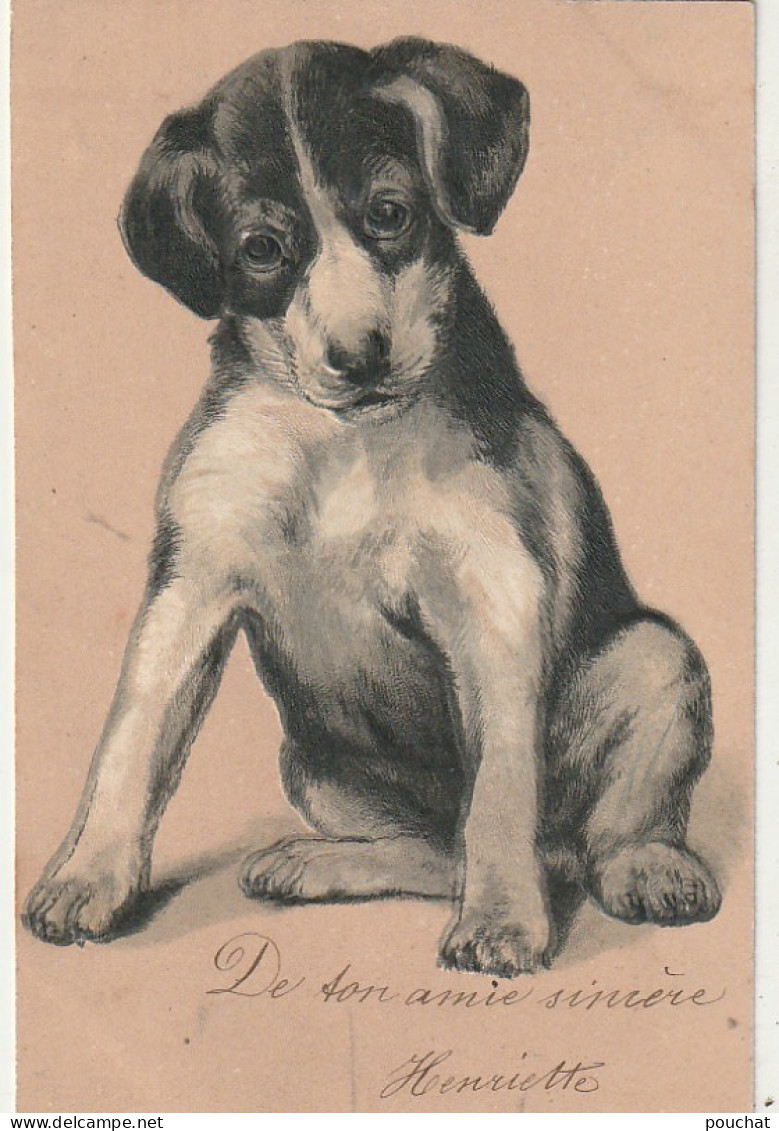 AA+ 50- CHIOT BEAGLE - ILLUSTRATEUR - CARTE GAUFREE - Hunde