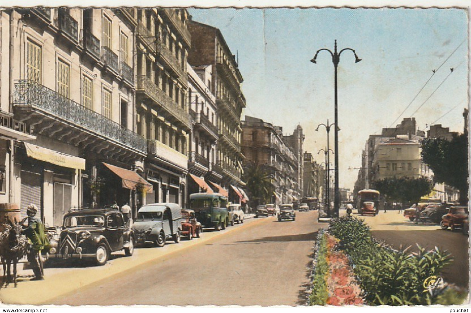 AA+ 51- ORAN ( ALGERIE ) - LE BOULEVARD MARECHAL JOFFRE - ANIMATION - COMMERCES - AUTOMOBILES - Oran