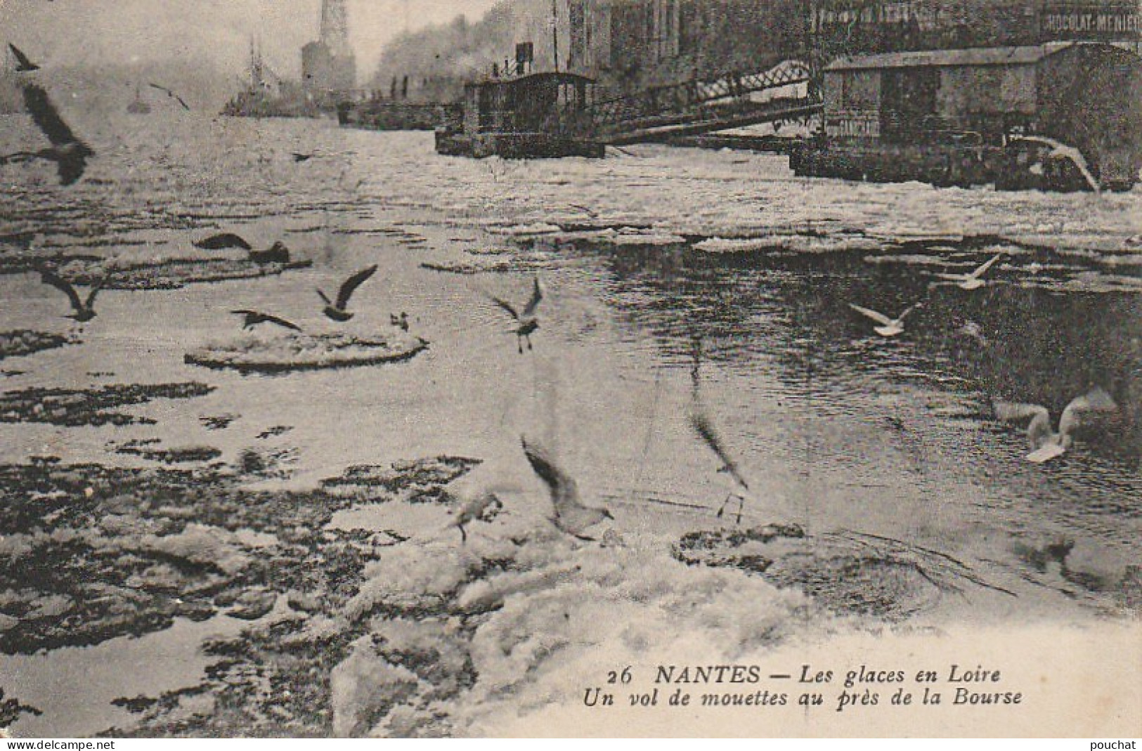 AA+ 60-(44) NANTES - LES GLACES EN LOIRE - UN VOL DE MOUETTES AU PRES DE LA BOURSE - Nantes