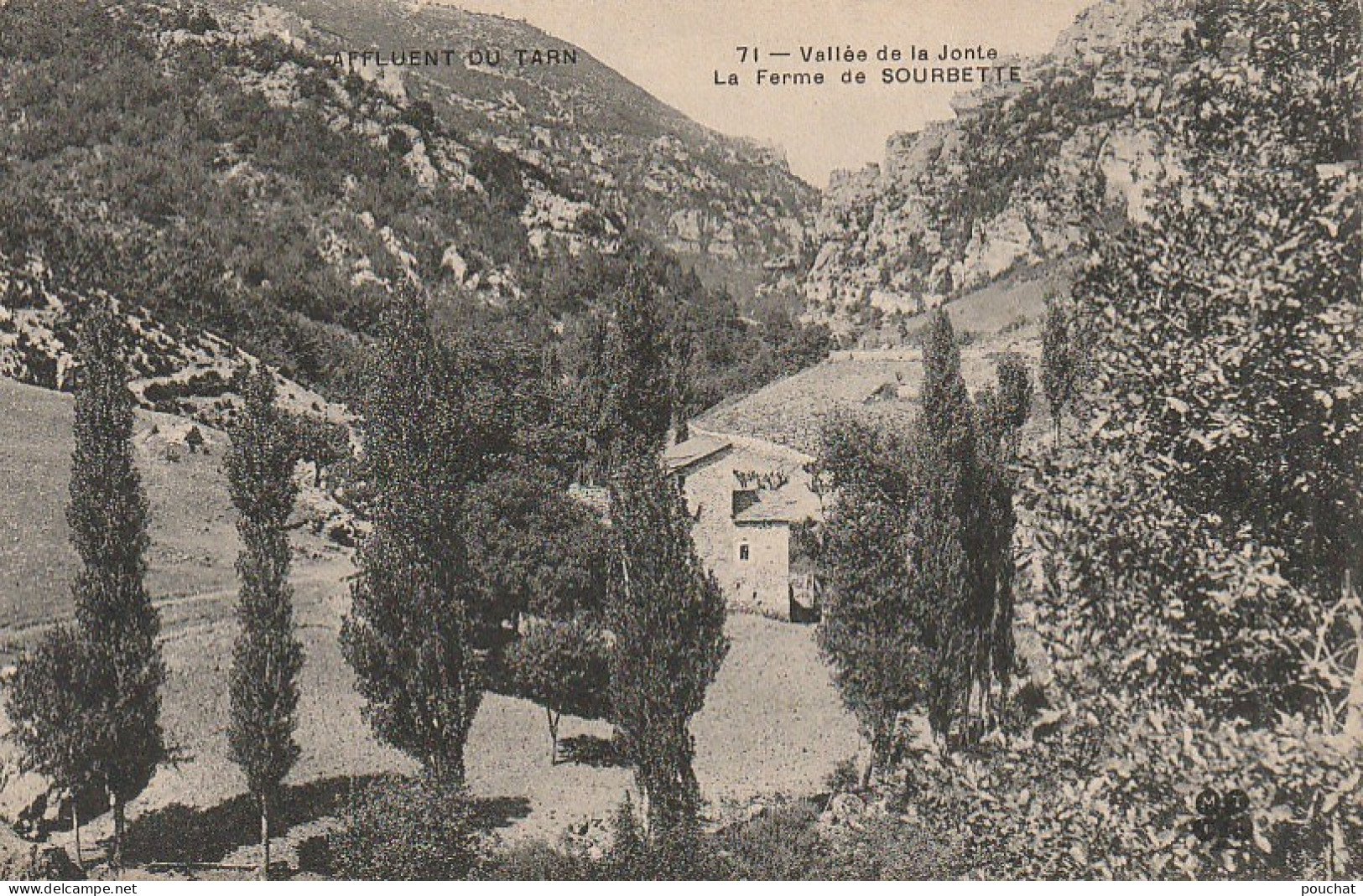 AA+ 63-(48) VALLEE DE LA JONTE - LA FERME DE SOURBETTE - Altri & Non Classificati