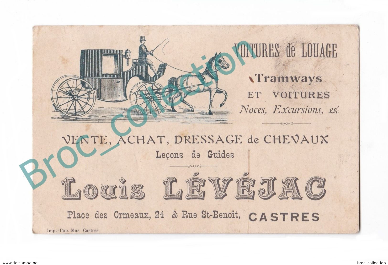 Castres, Louis Lévéjac, Voitures De Louage, Tramways Et Voitures, Vente, Achat, Dressage De Chevaux, Carte De Visite - Visiting Cards