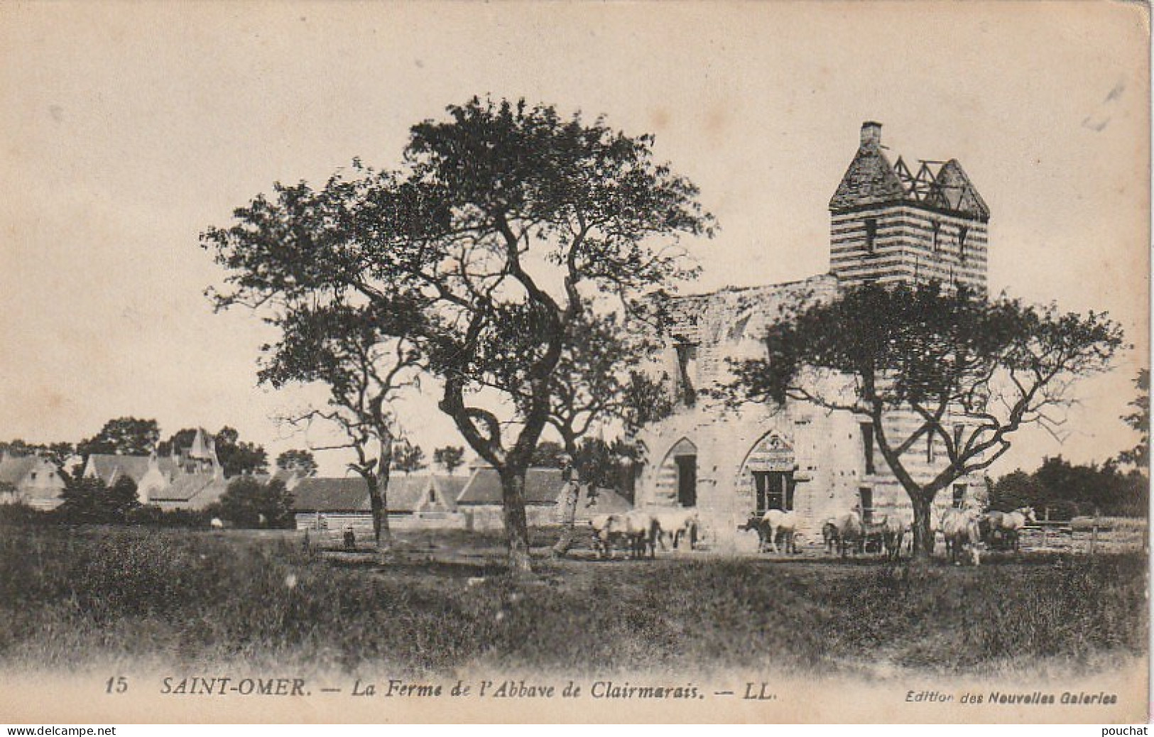 AA+ 81-(62) SAINT OMER - LA FERME DE L'ABBAYE DE CLAIRMARAIS - CHEVAUX - Saint Omer