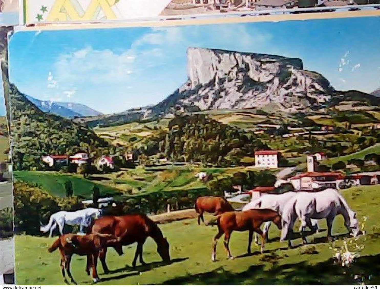 APPENNINO REGGIANO PIETRA BISMANTOVA  E CAVALLI HORSES  VB1974 JV6376 - Reggio Nell'Emilia