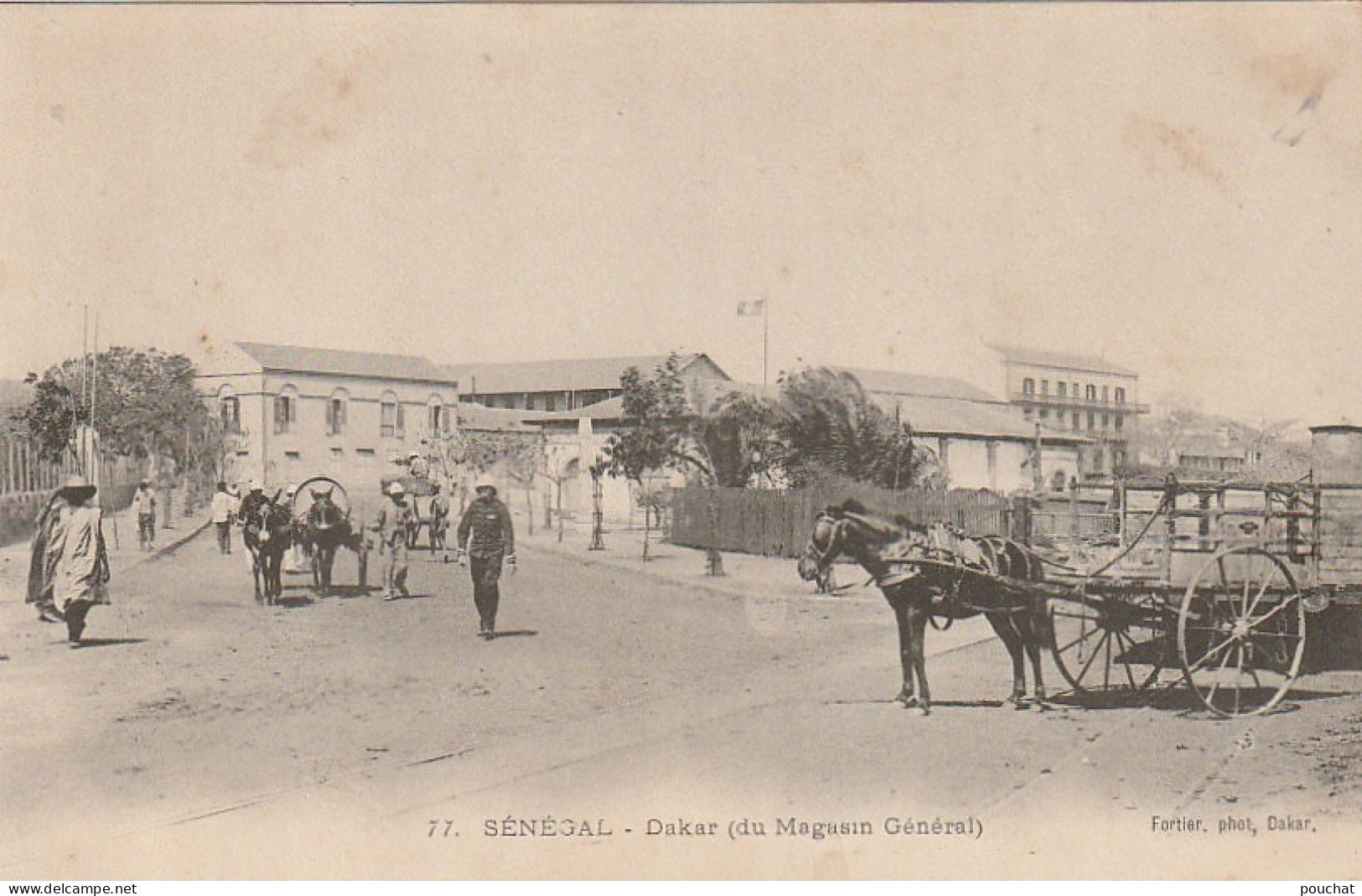 AA+ 88-  DAKAR ( SENEGAL ) - DU MAGASIN GENERAL  - ANIMATION - ATTELAGES - Senegal